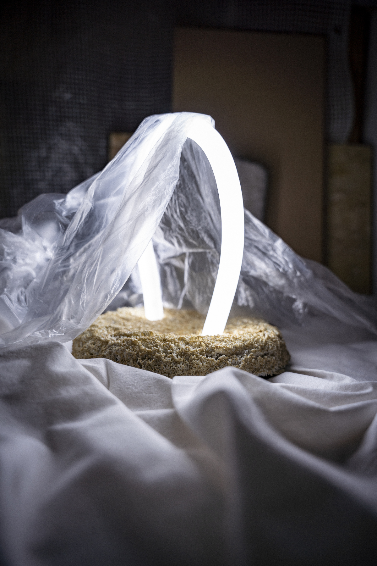 Carpet Matter lamp - ph: Antonio Roseti