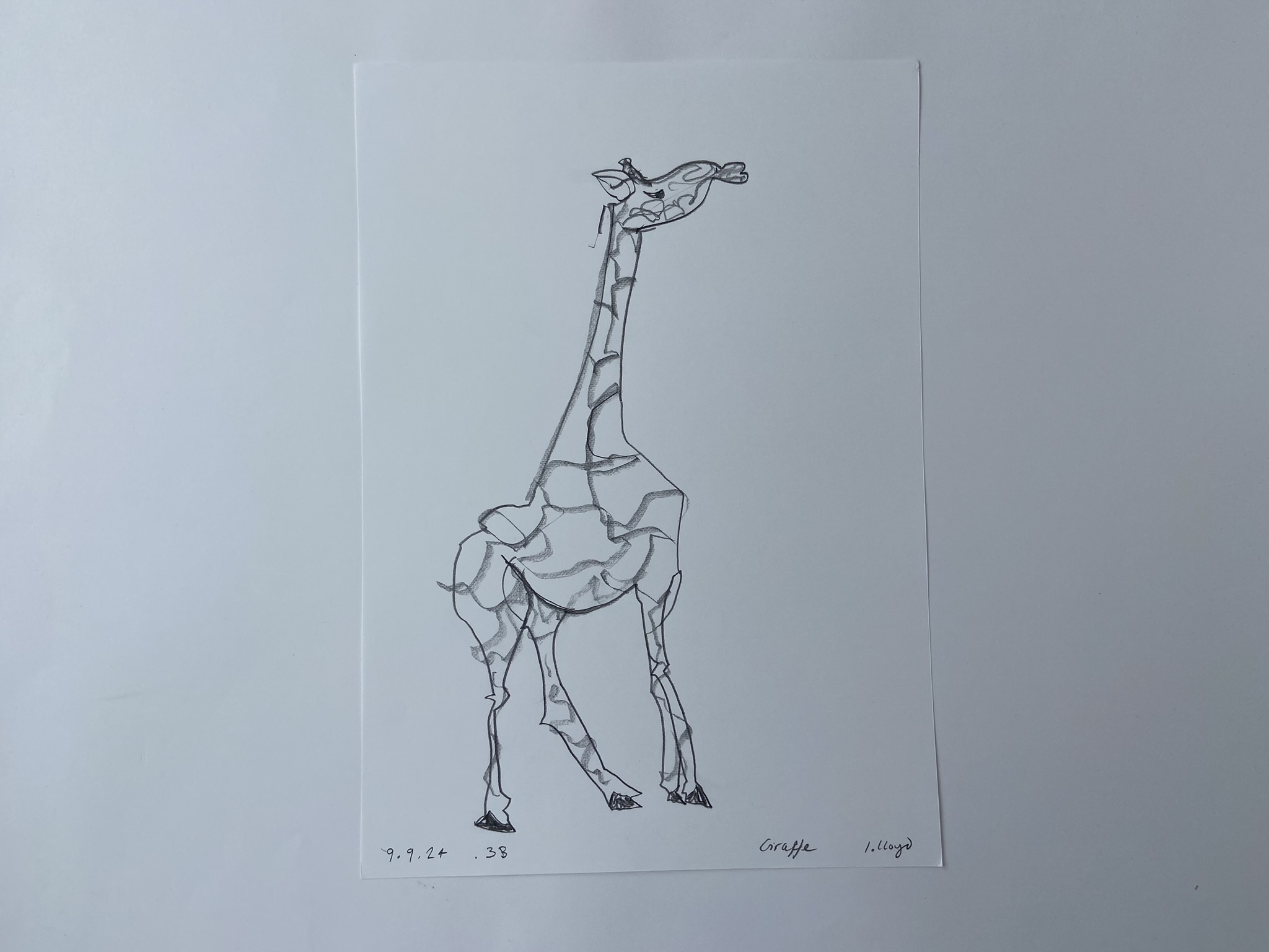 Giraffe (with patches), Pencil on paper, 21 x 30 cm, SOLD