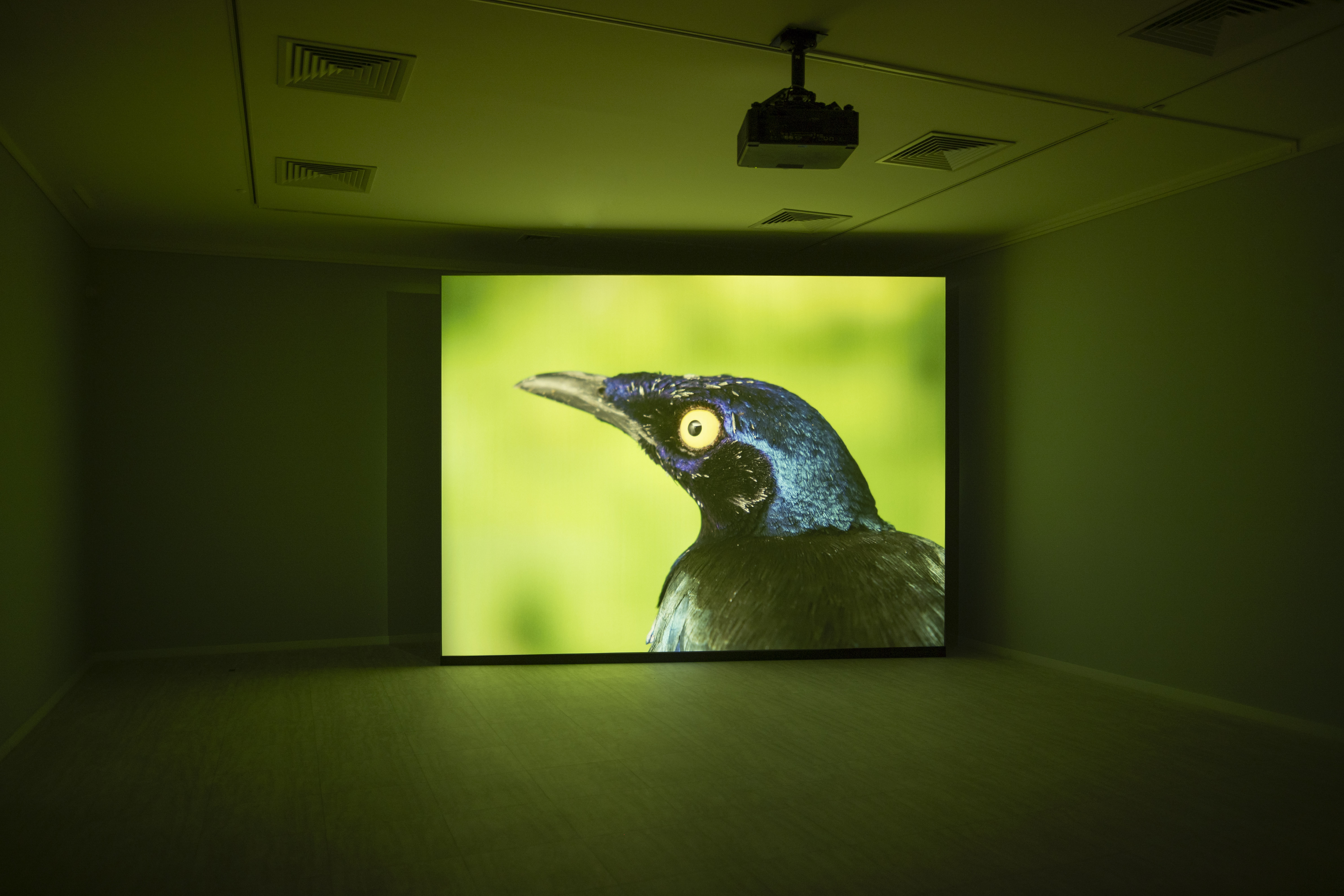 art HAB Budapest 2024 to 2025