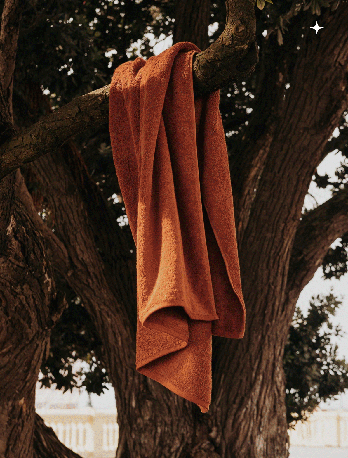 Annassurra Launch Campaign Art Direction