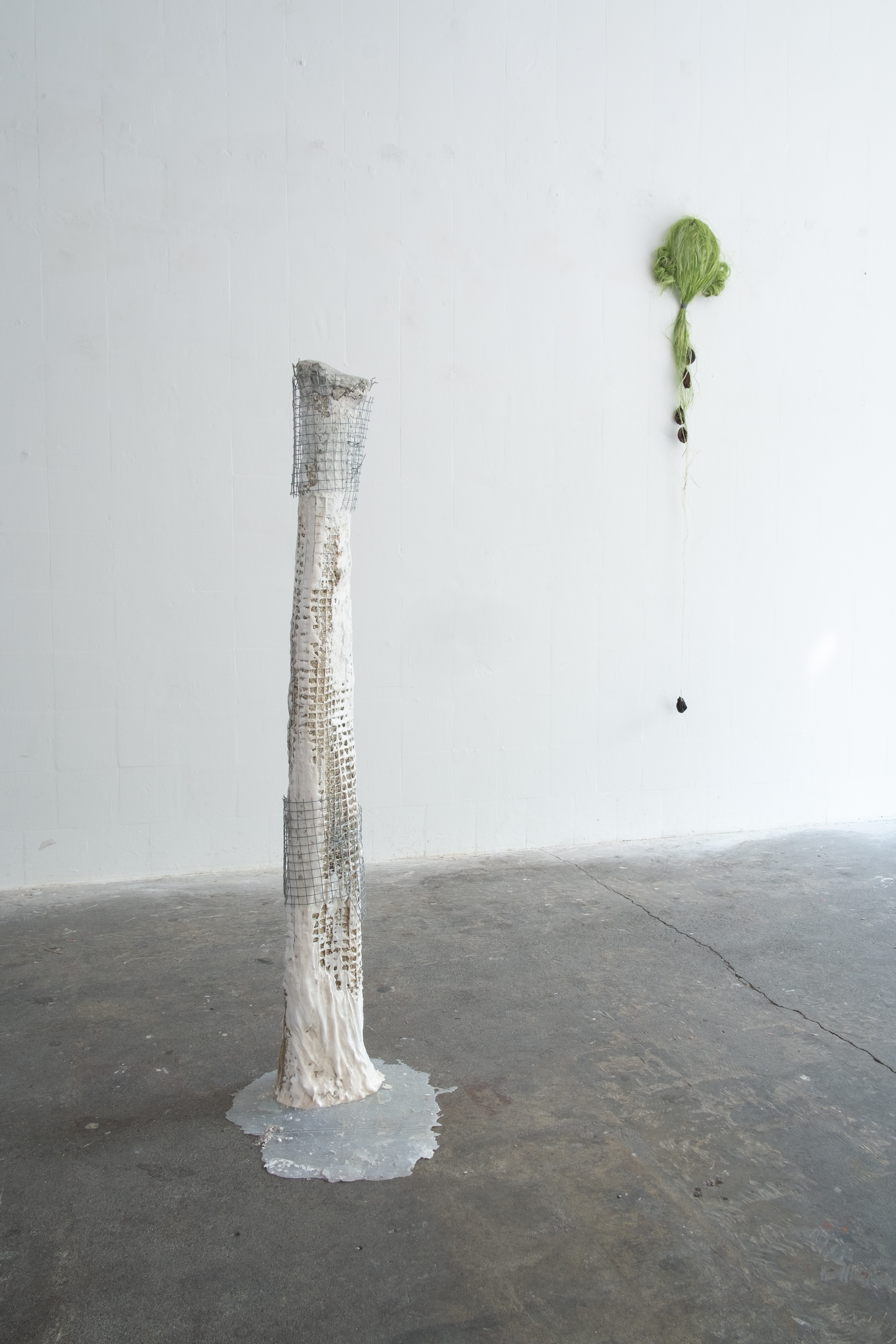 Installation view. Jasmine Pajdak