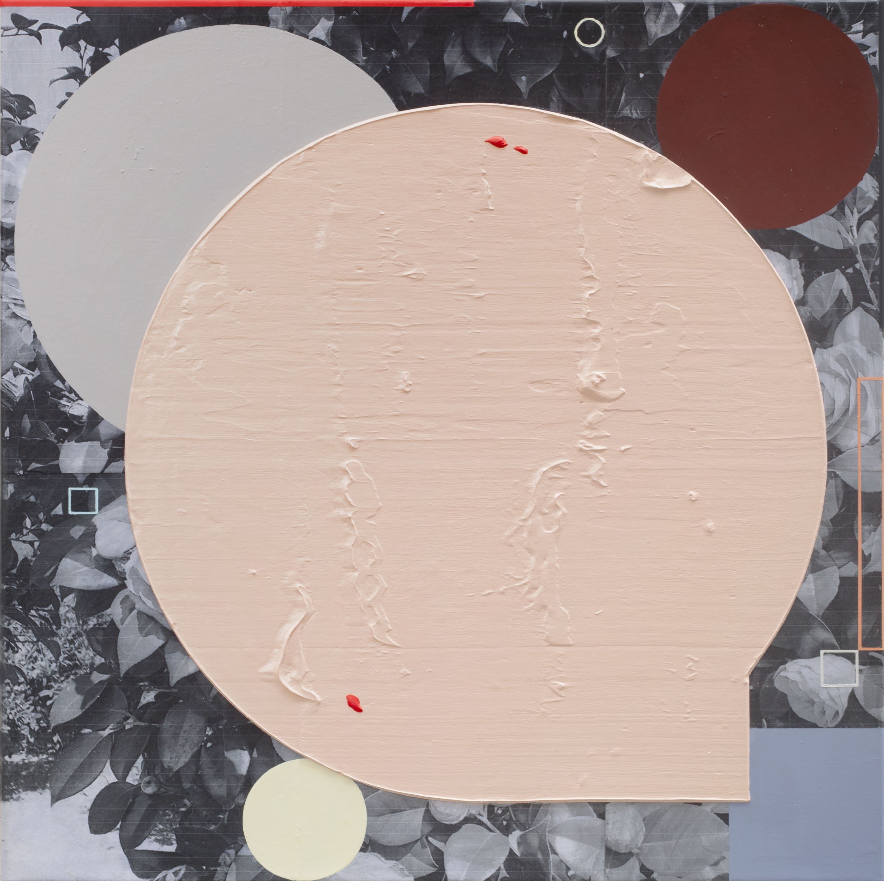  Camellias no.2, 2020, Acrylic and photo-collage on canvas, 45.5 x 45.5 cm