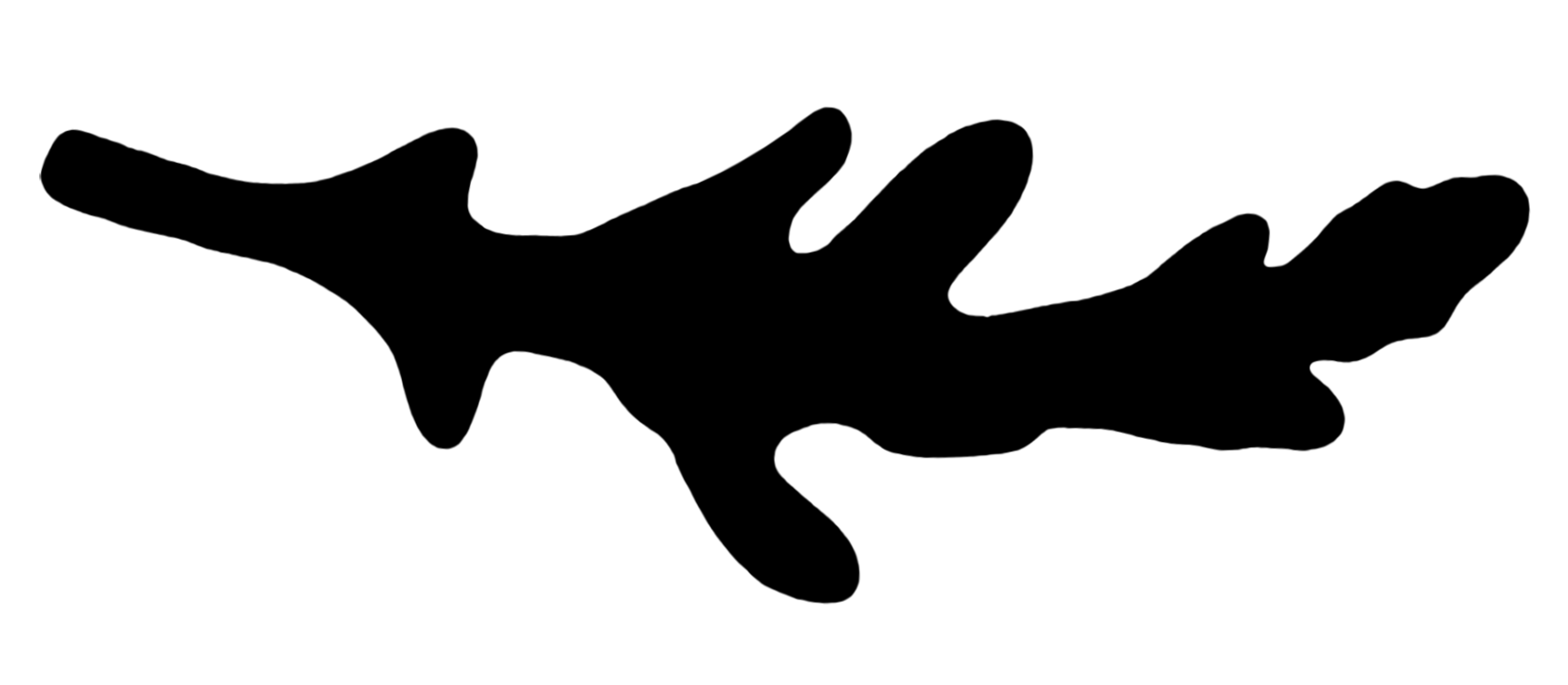 Open Call — Fresh Salad