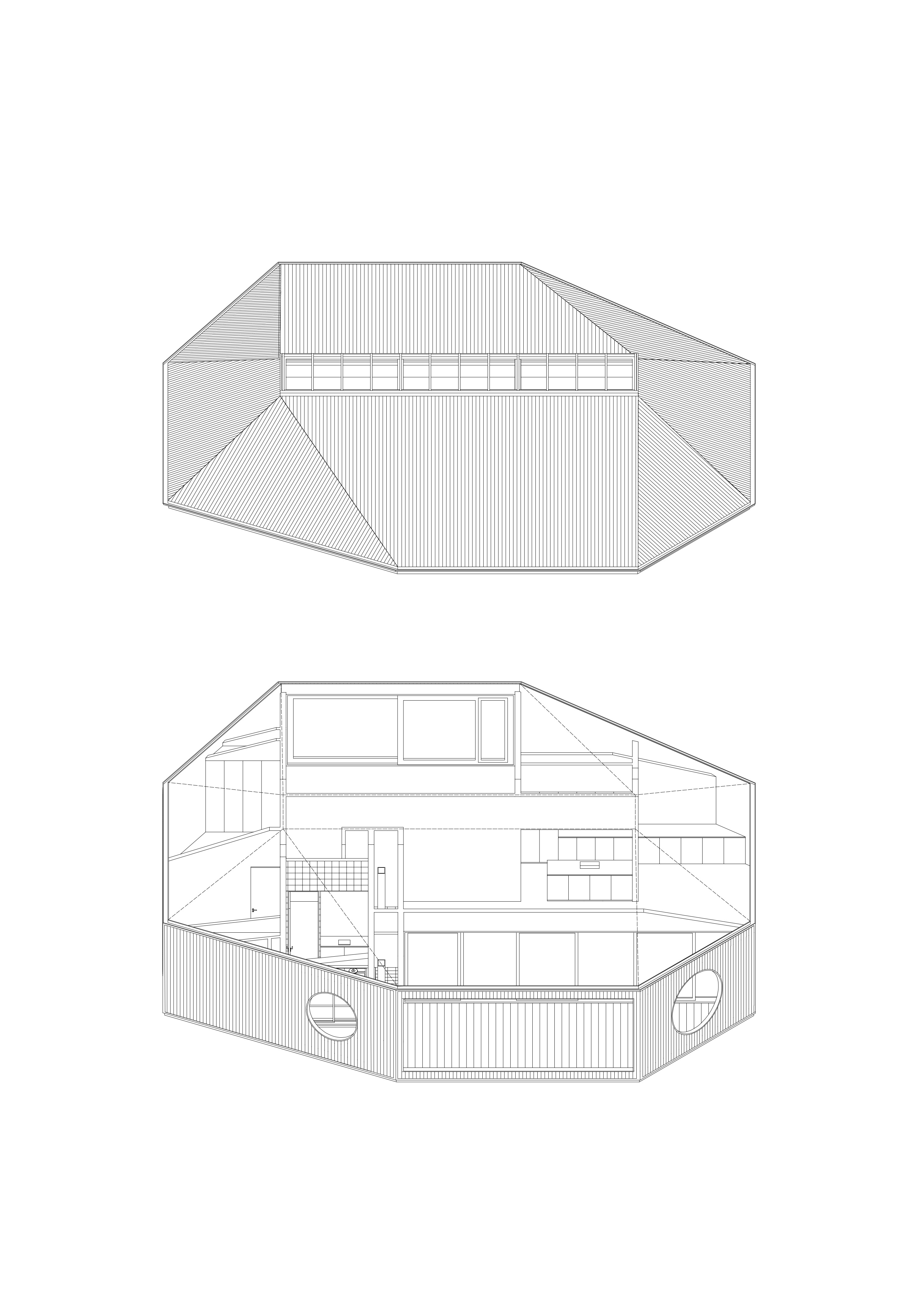 Organizacion Interna
