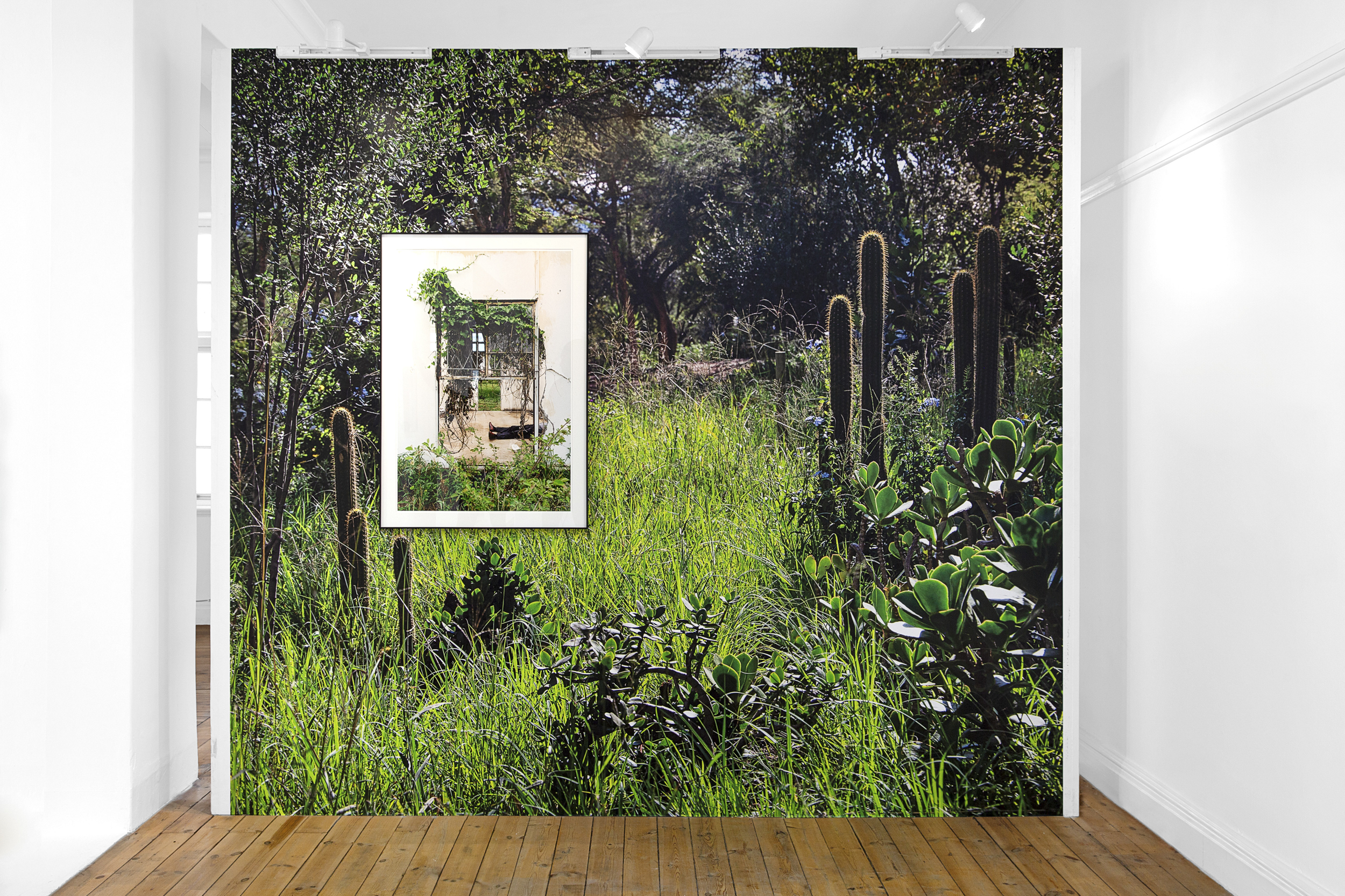 We Didn’t Choose to be Born Here, Lemkus Gallery, Cape Town, 2025