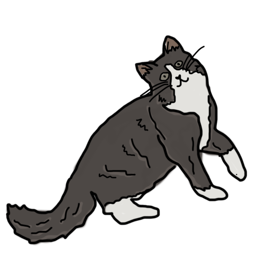 Johanna talked about her primary companion, her old cat.