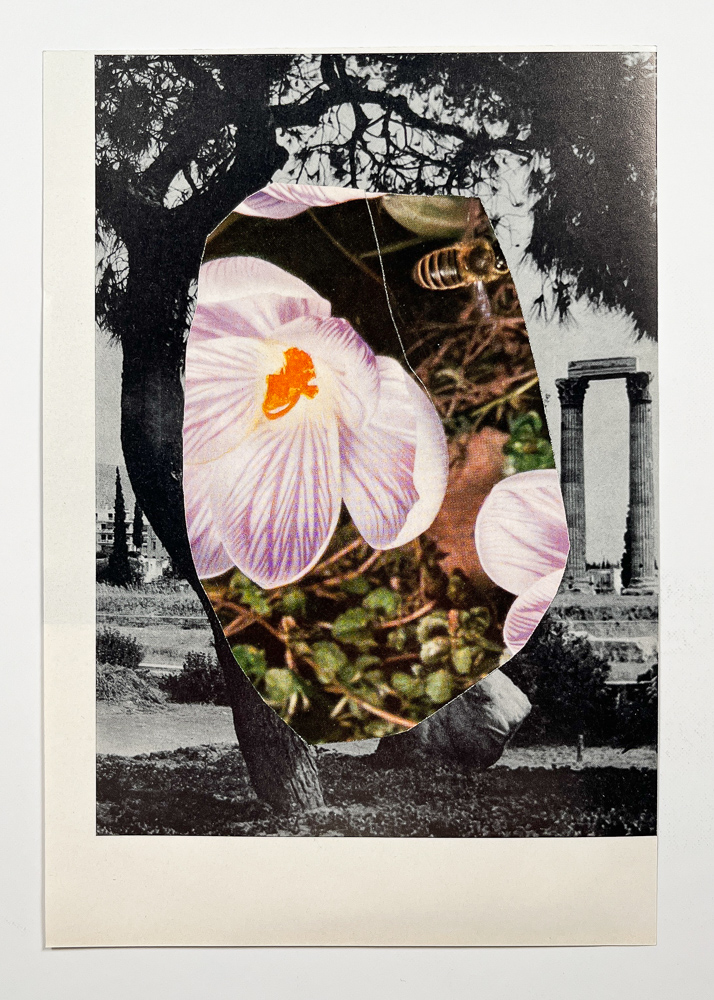 Ancient temple flower