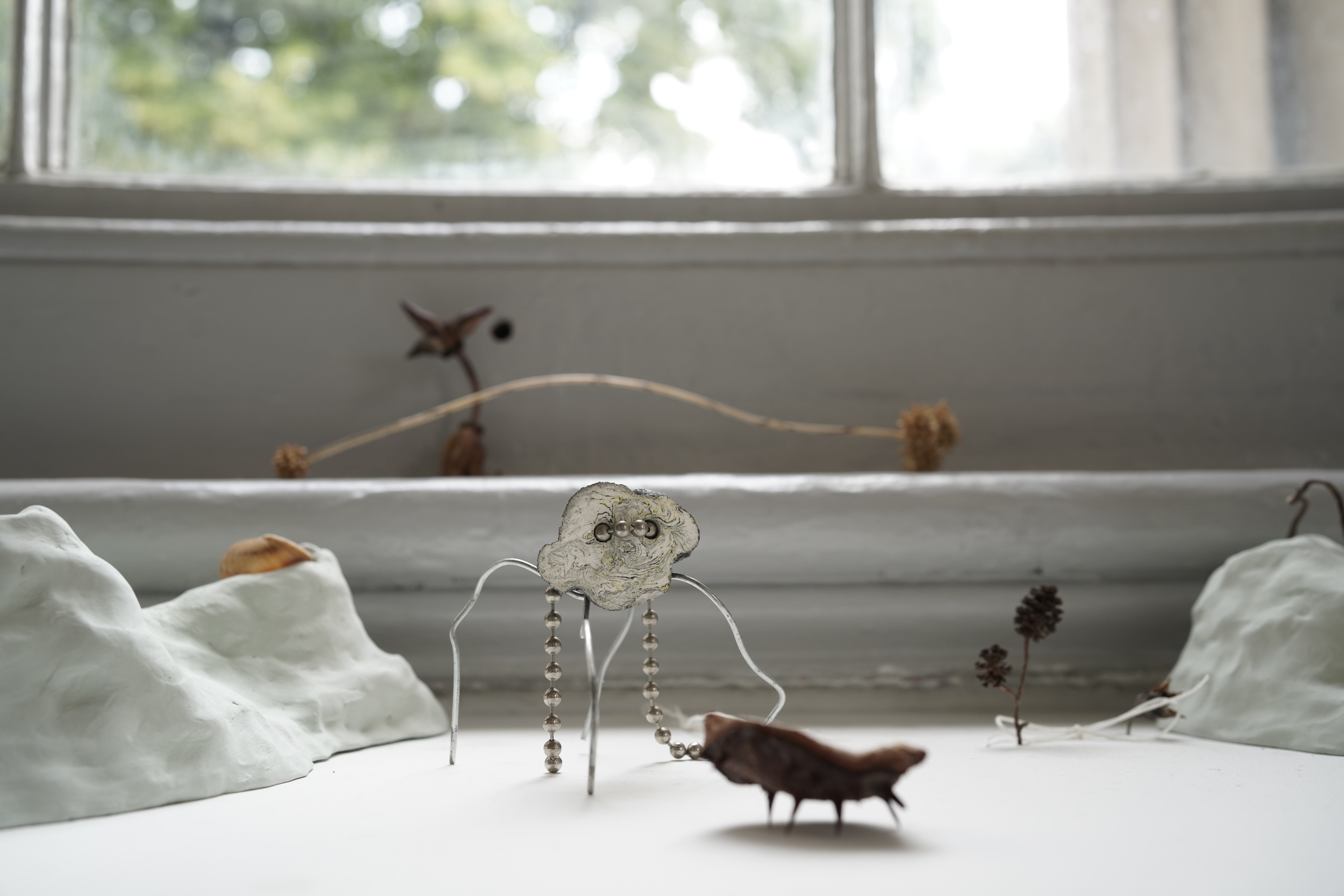 Photo credits Thea Wang