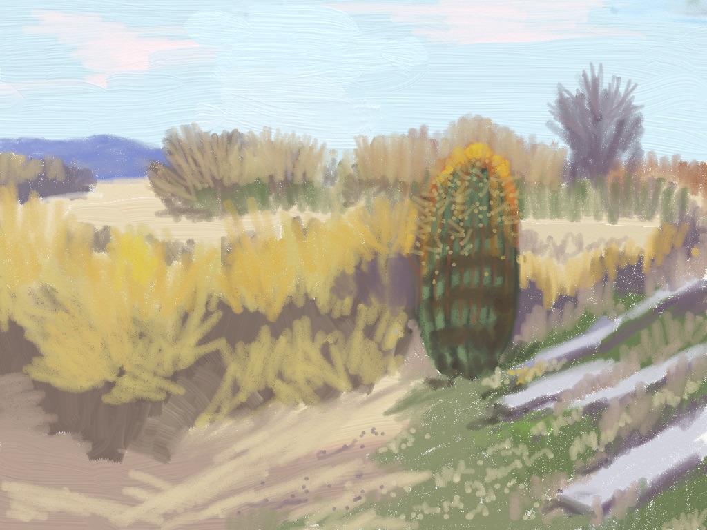 S1.24 - Lykken trail cactus