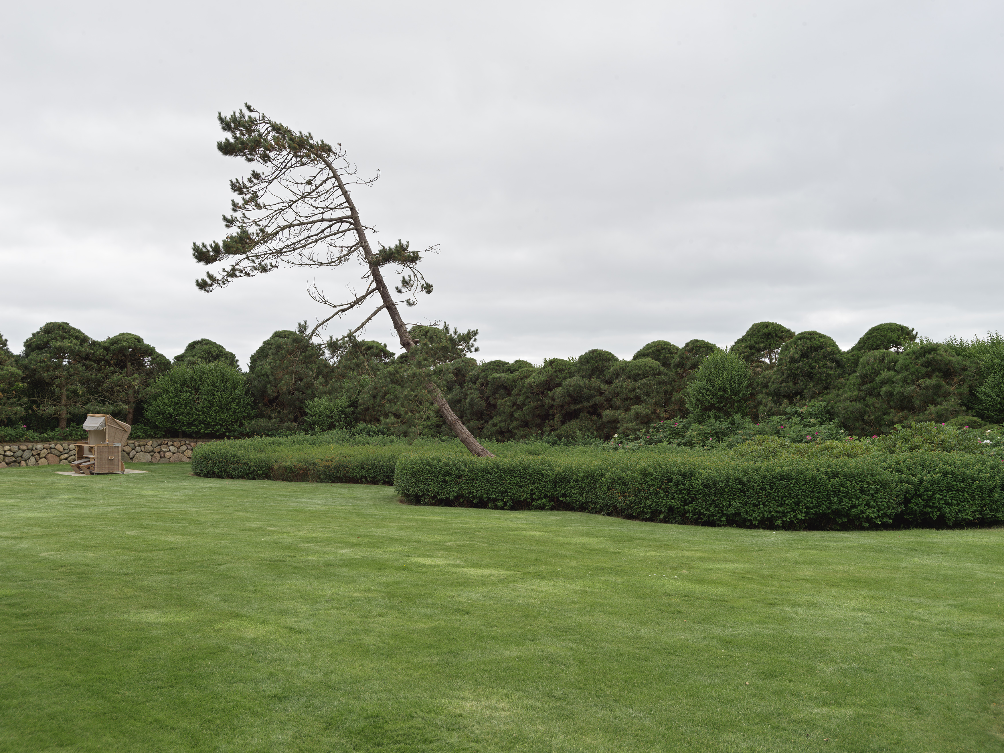 2/2 – Garden.