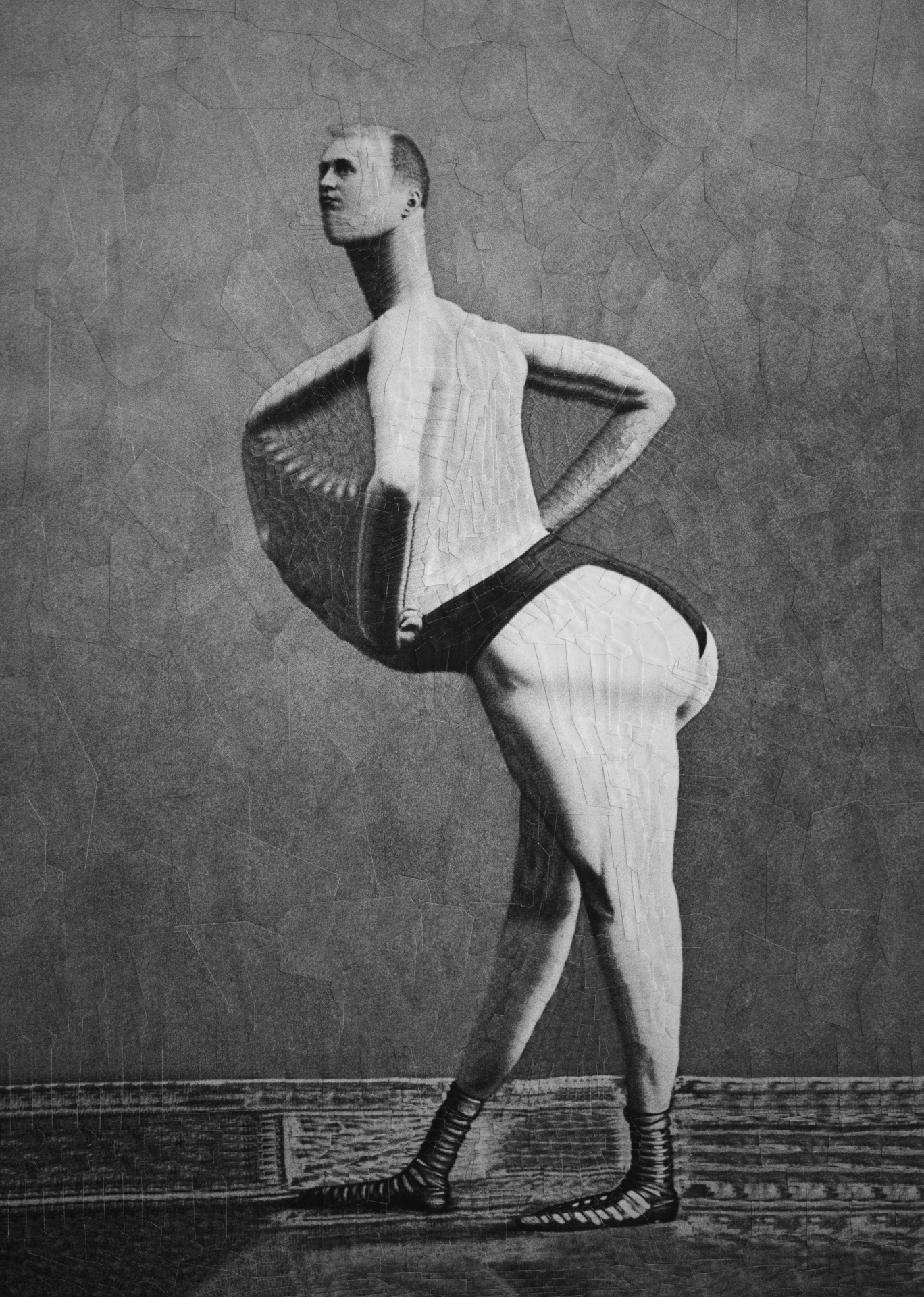 The Pigeon, 2021, 8.2 x 11.6 inches