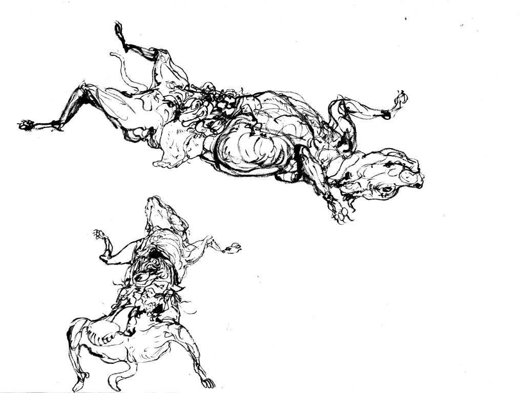  Dissected dog study. Ink on paper. A3.