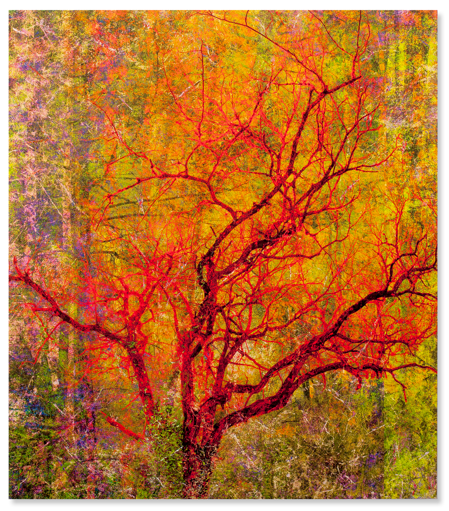 "Pensées rouges" - 80x70cm - 2020