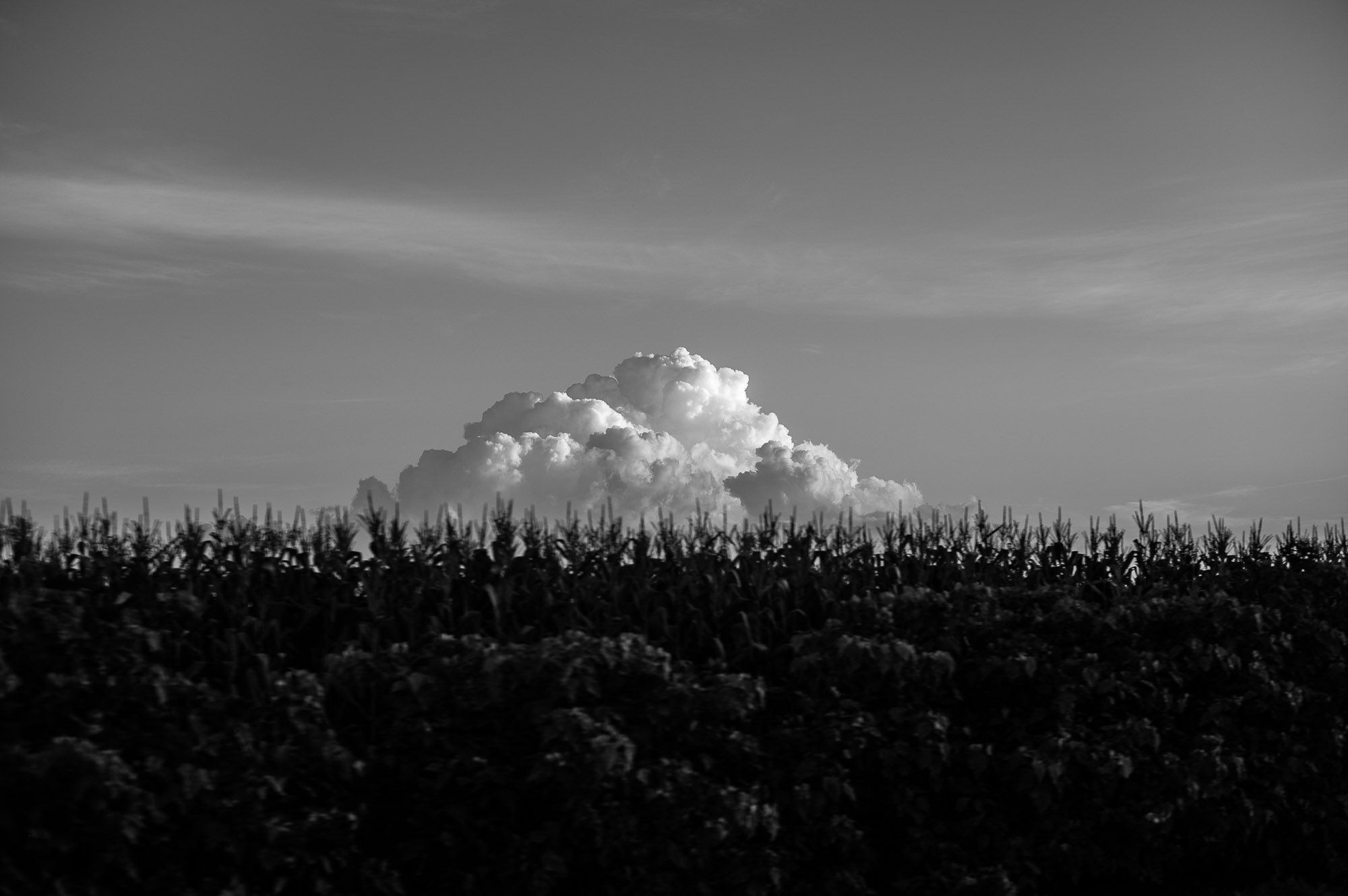 Brazil, Minas Gerais #1