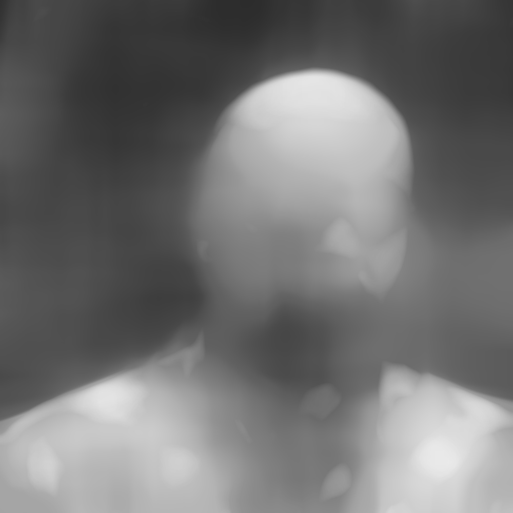 1. A picture of Peter Doig. Median filters layered.