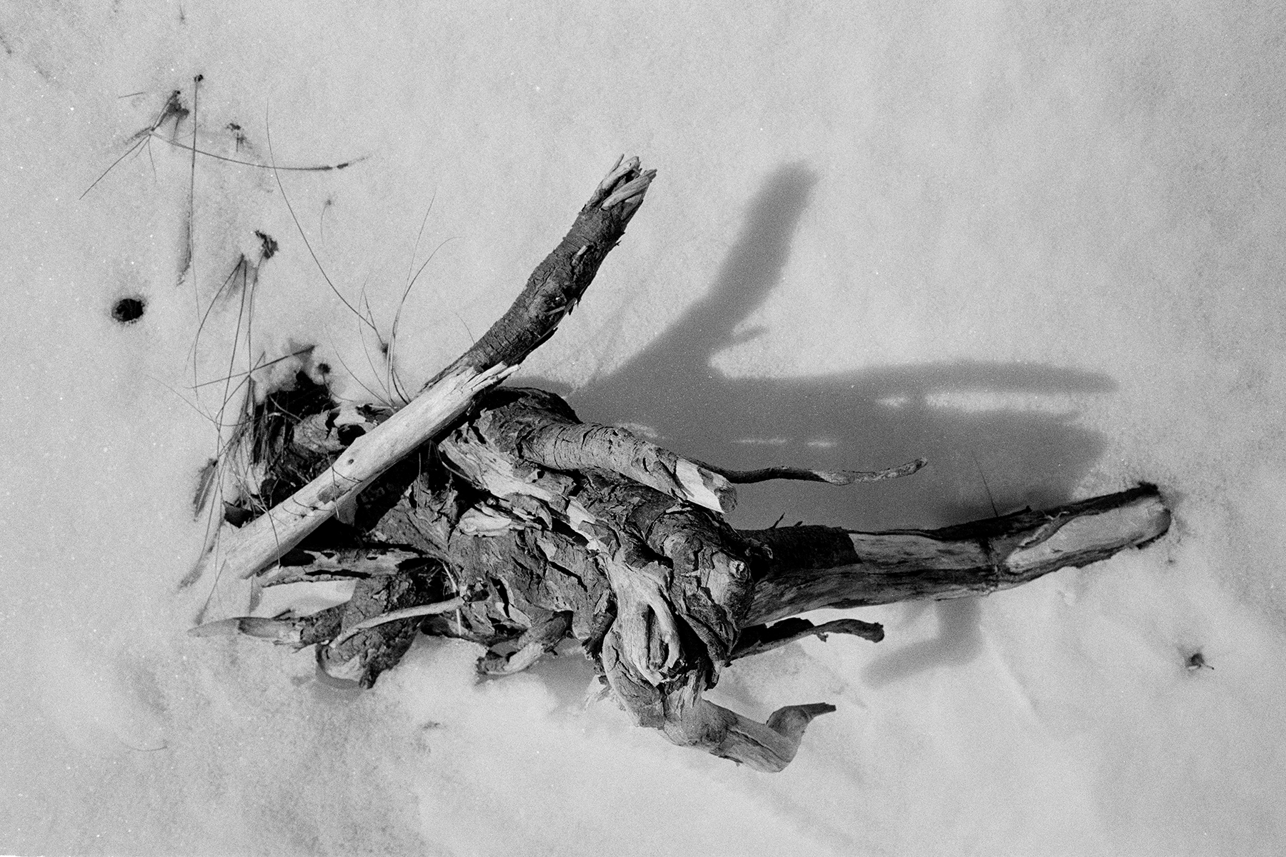 °04, 2017 : impression sur aluminium / aluminium print form scanned 35mm negative, 8 x 12''