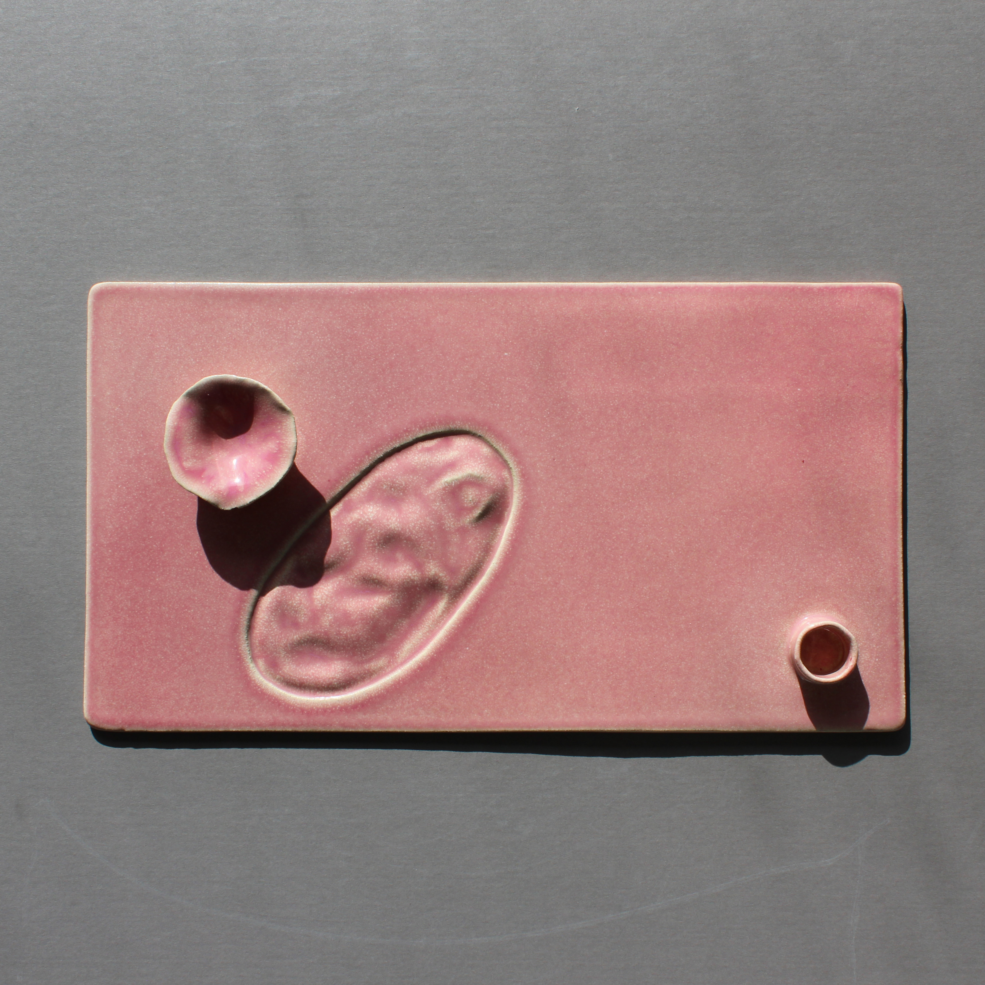 Blooming Tray (15½ x 8½ x 1, small chip) $30