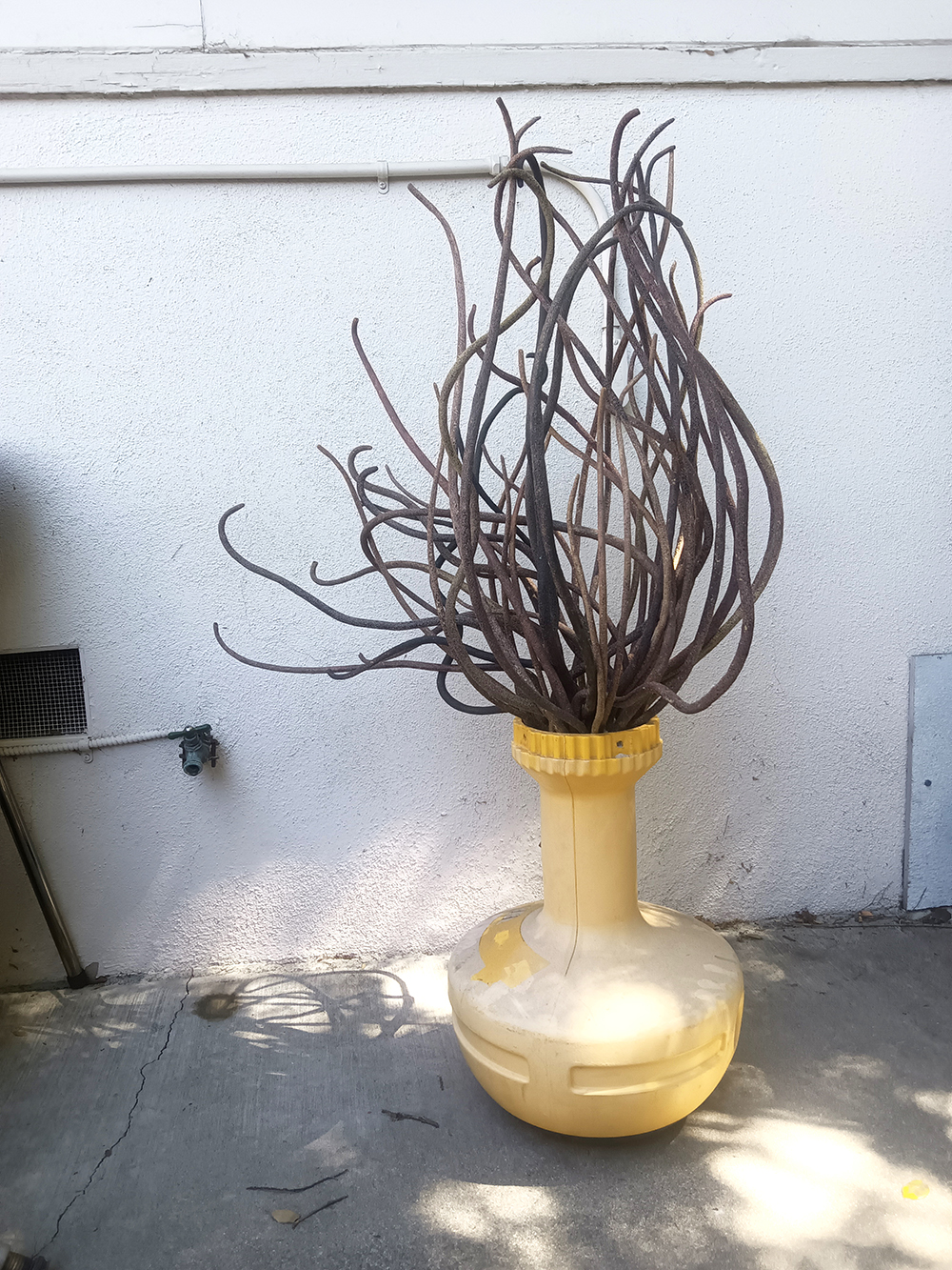 A sculpture in resemblance of a flame sitting on the ground outdoors and in front of a stucco wall.