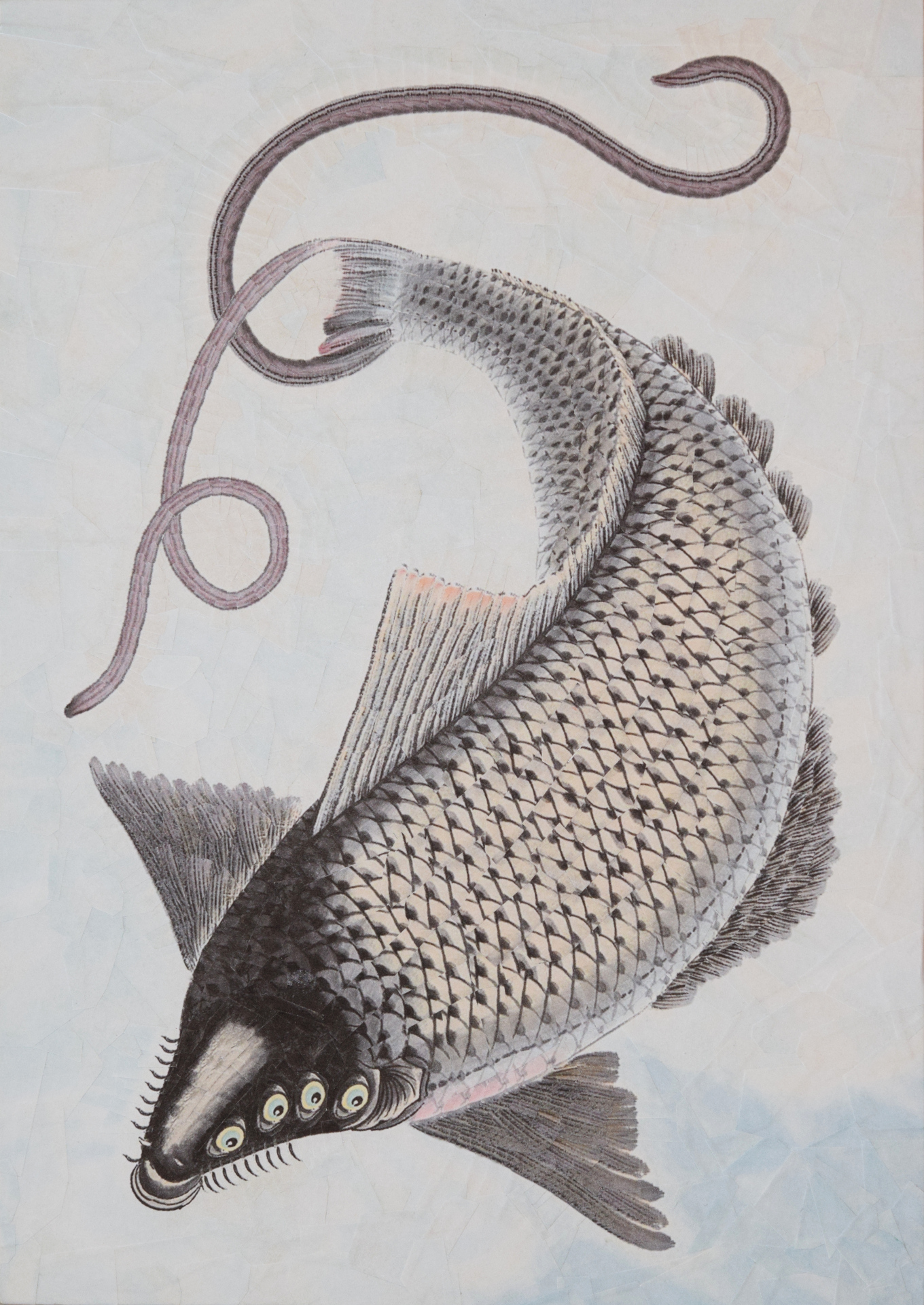 Carp after Wu Qingxia II, 2018, 8.2 x 11.6 inches