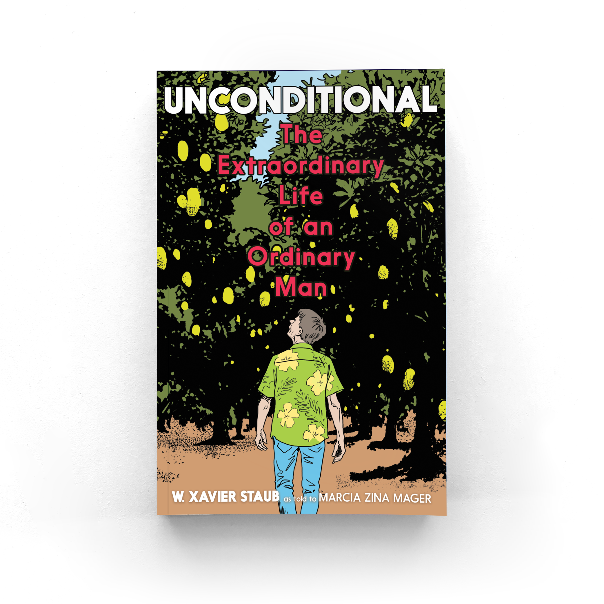 graphic novel (forthcoming, 2025)