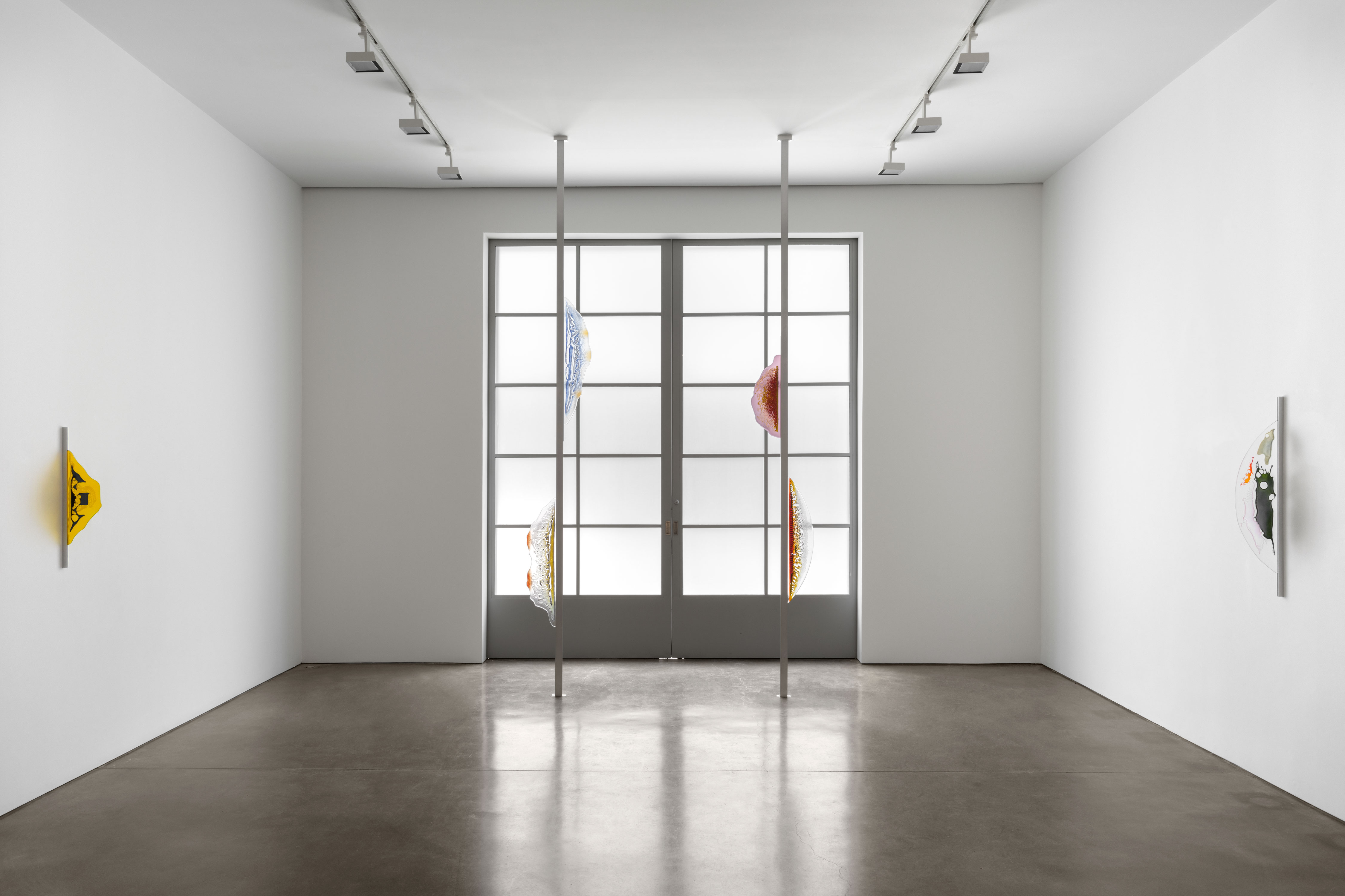 Tauba Auerbach / Paula Cooper Gallery