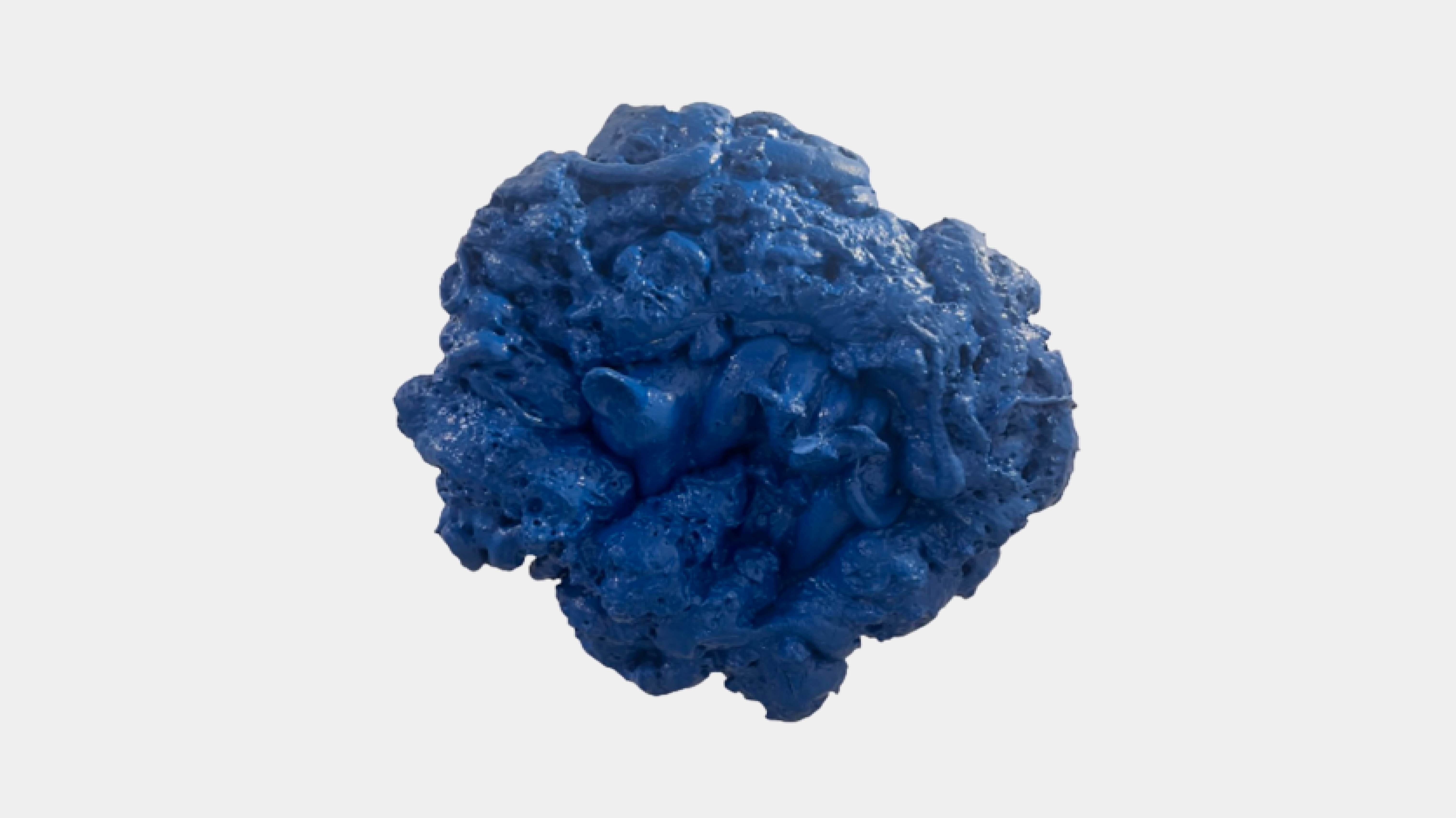 Mama Xoloitzcuintli, 2022