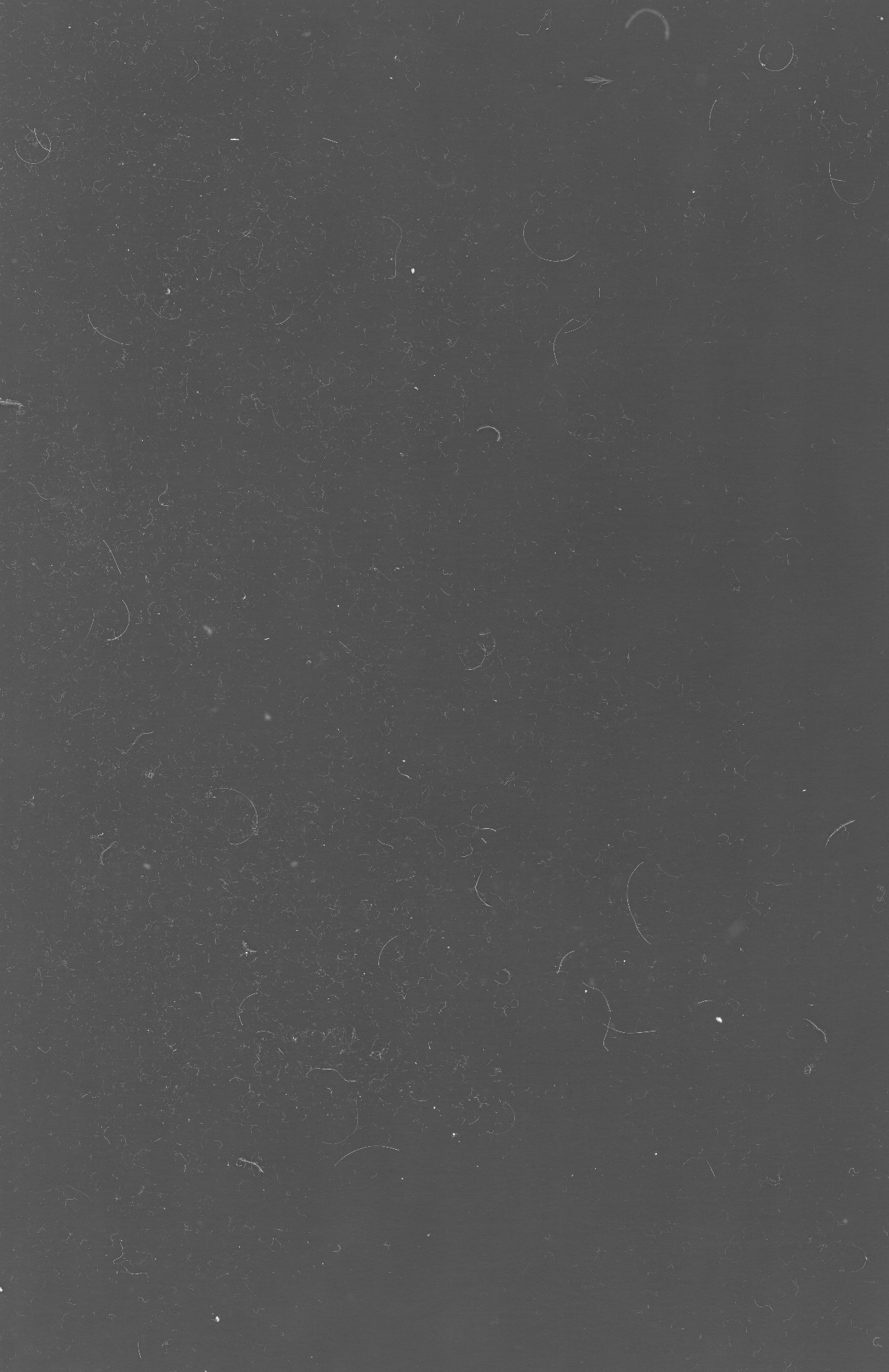 Instant Karma 2, 2014, 71 x 109 cm, Fotoprint