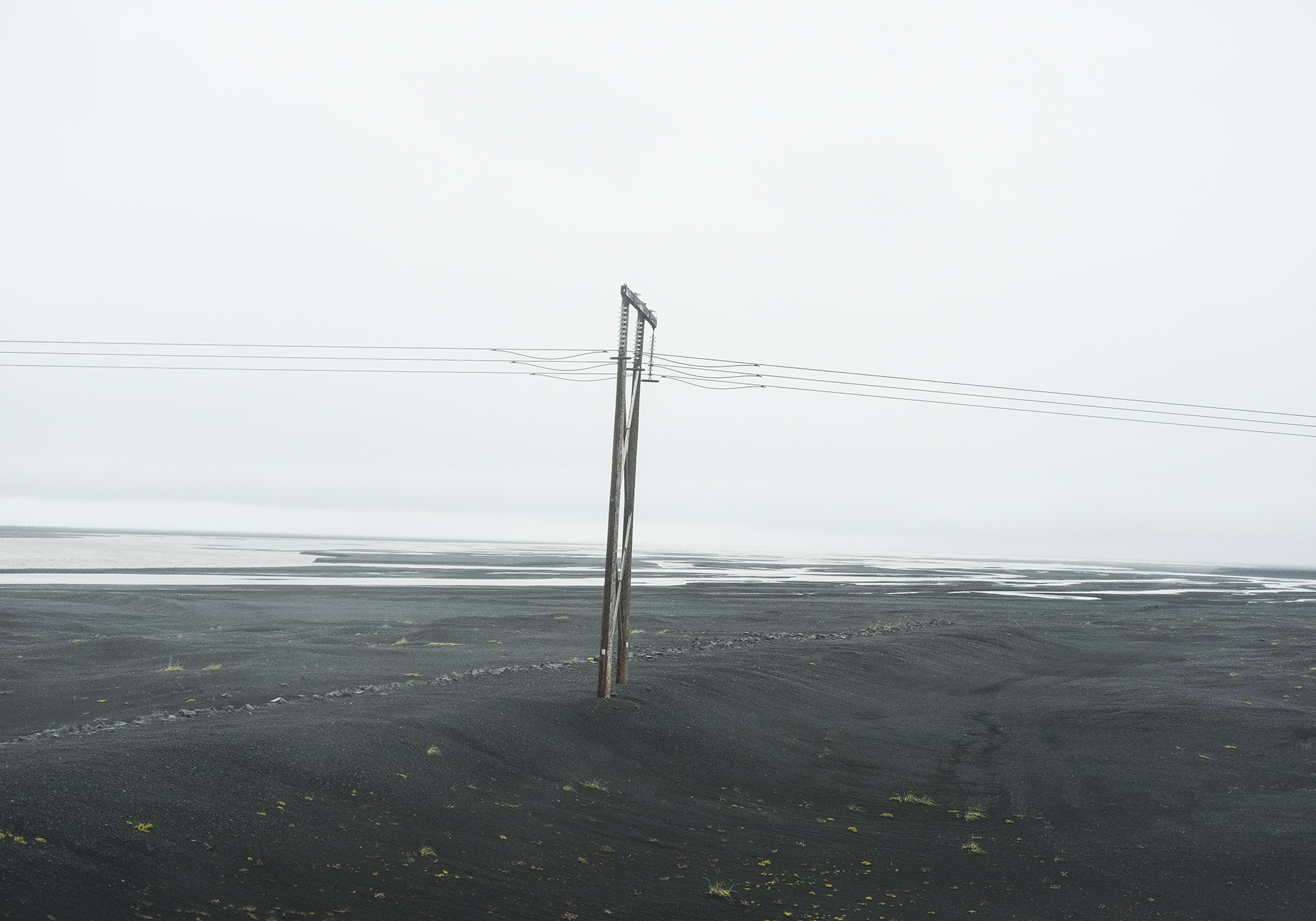 Domingo Nardulli TIFF