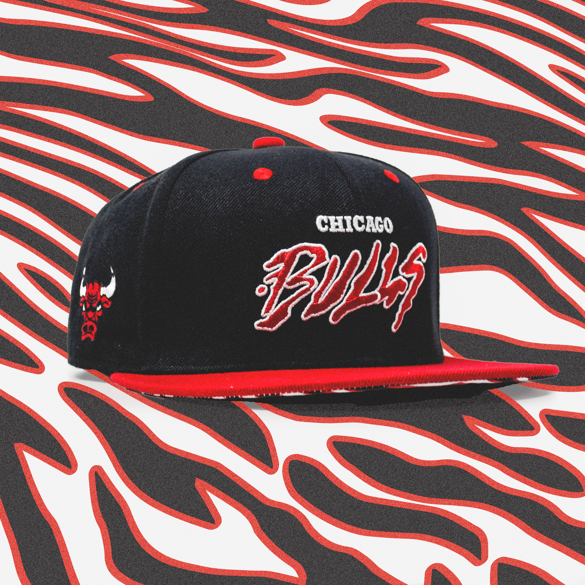 Chicago Bulls - Louie Capozzoli