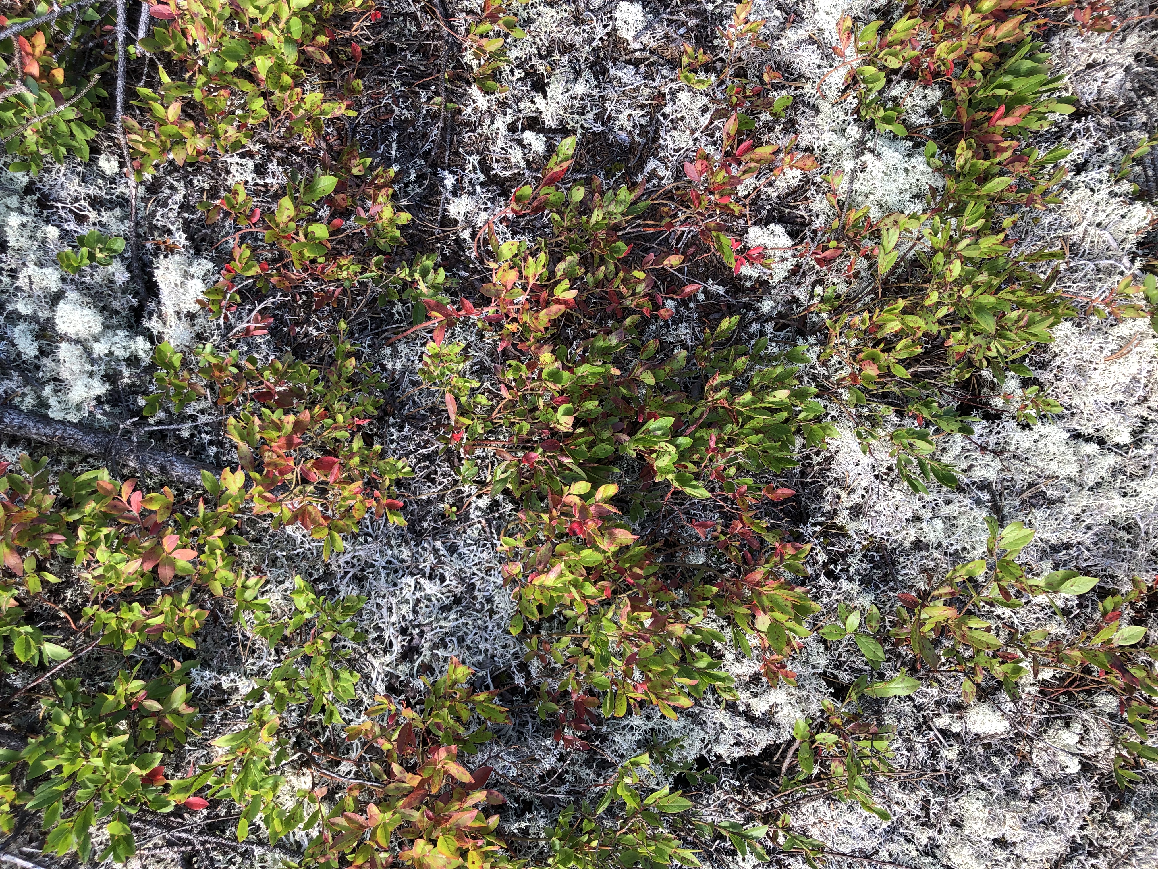 Charlevoix, photo personnelle