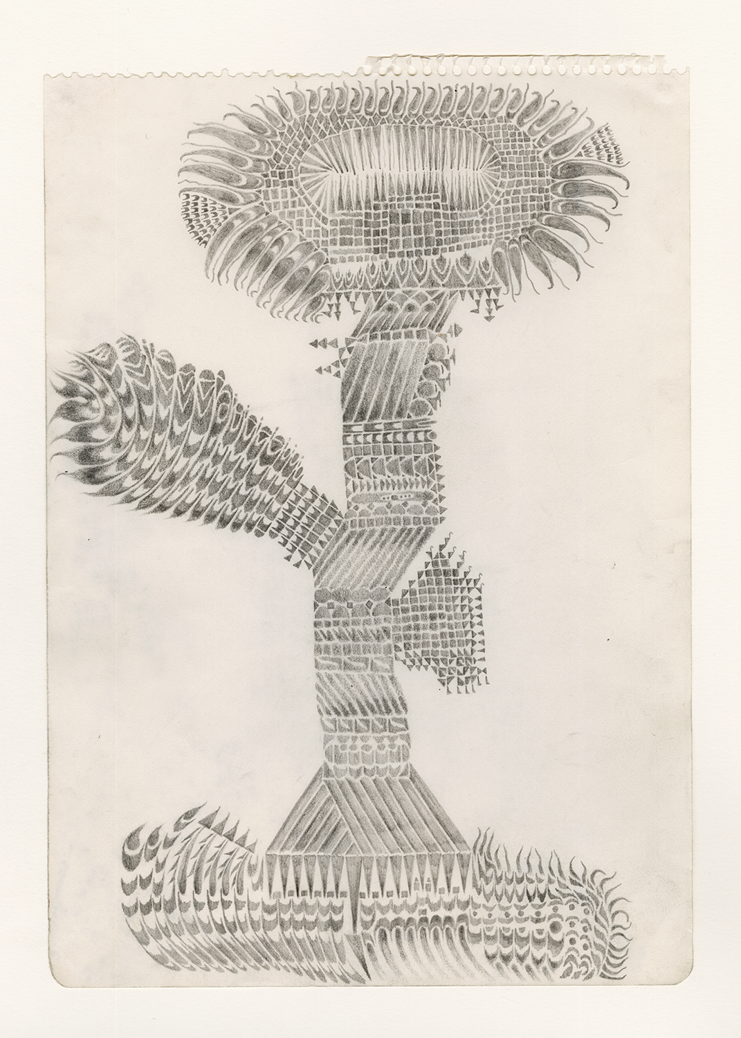 "A Flower With Two Hearts", 2024, graphite on paper, 8.5" x 12"