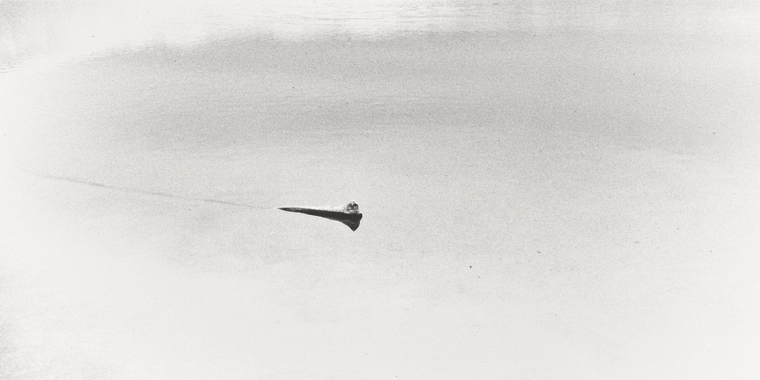 Path | Silver gelatin print | 11x22cm