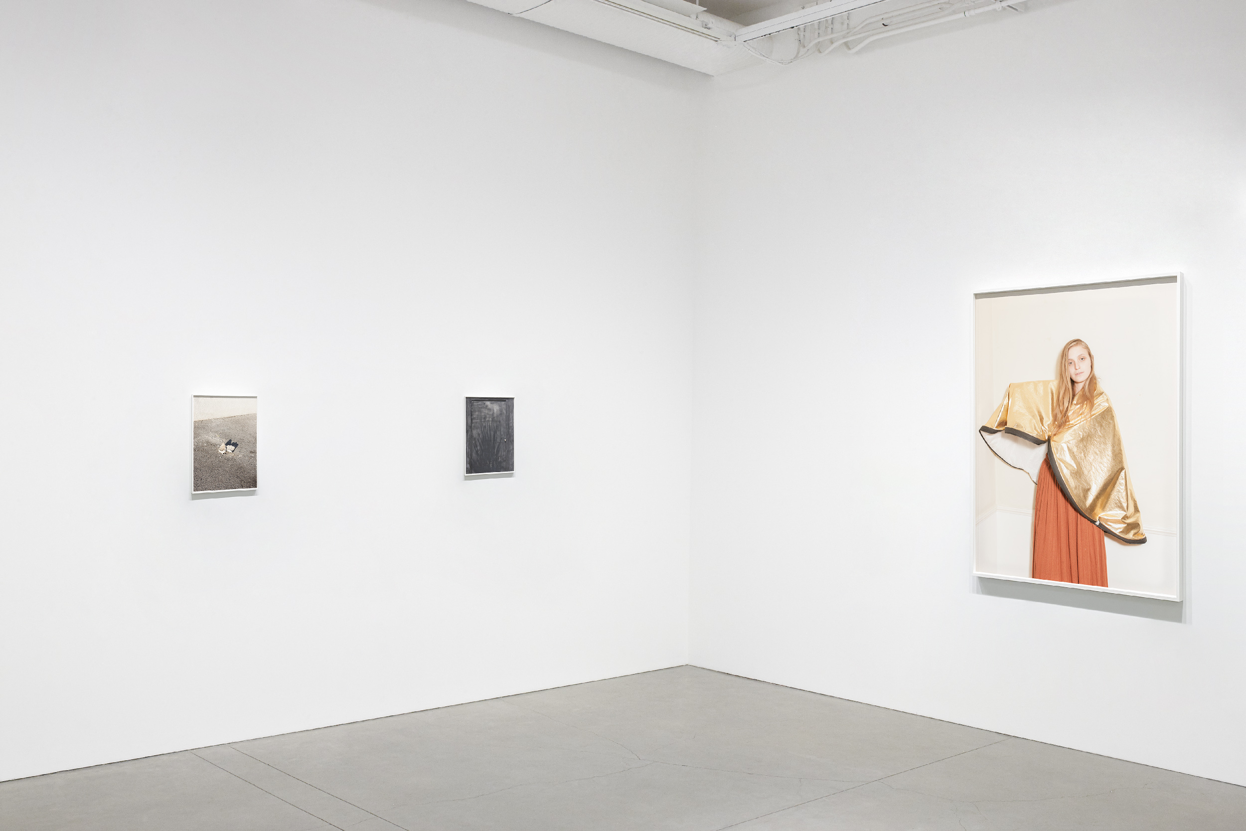 From left to right: (1) Debris (Telotype #13), Sunset Boulevard, Los Angeles, 2019; (2) Screendoor (Telotype #98), Washington Boulevard, Culver City, August 2020; (3) Destiny, Hi Point Street, Los Angeles, 2019. Two 12x16" chromogenic dye coupler prints mounted on dibond, edition of 6 + 2 AP. One 36x48" chromogenic dye coupler print mounted on dibond, edition of 5. Series: Telotypes (2019-2023).