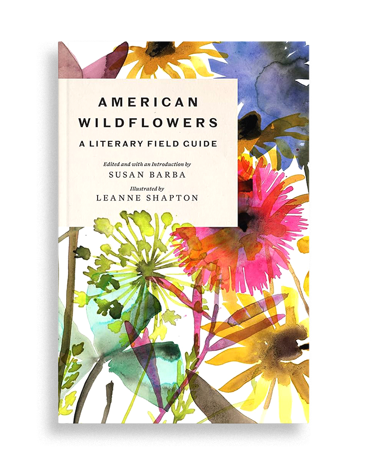 American Wildflowers, 2022