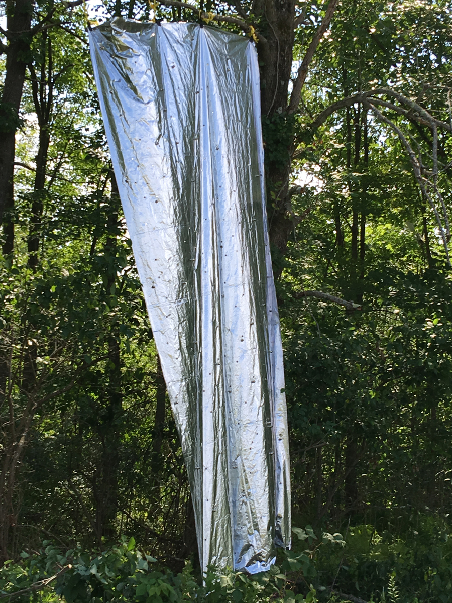 Gravitypull, 2016, silver tarp with grommets suspended with utility rope, pop-up installation celebrating Art Omi 25th Anniversary, The Fields Sculpture Park, Ghent, NY