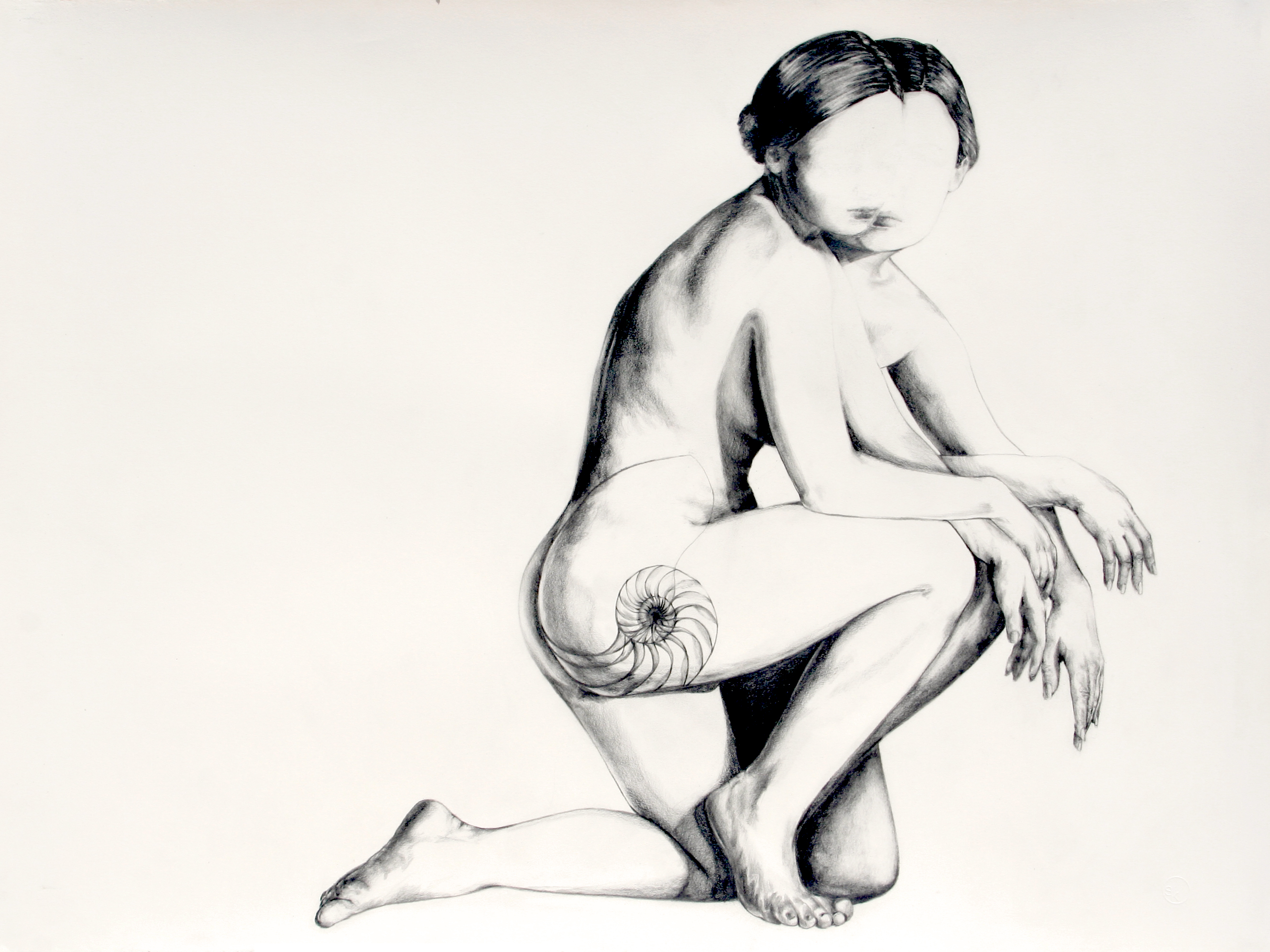 Double Obliteration, 2017