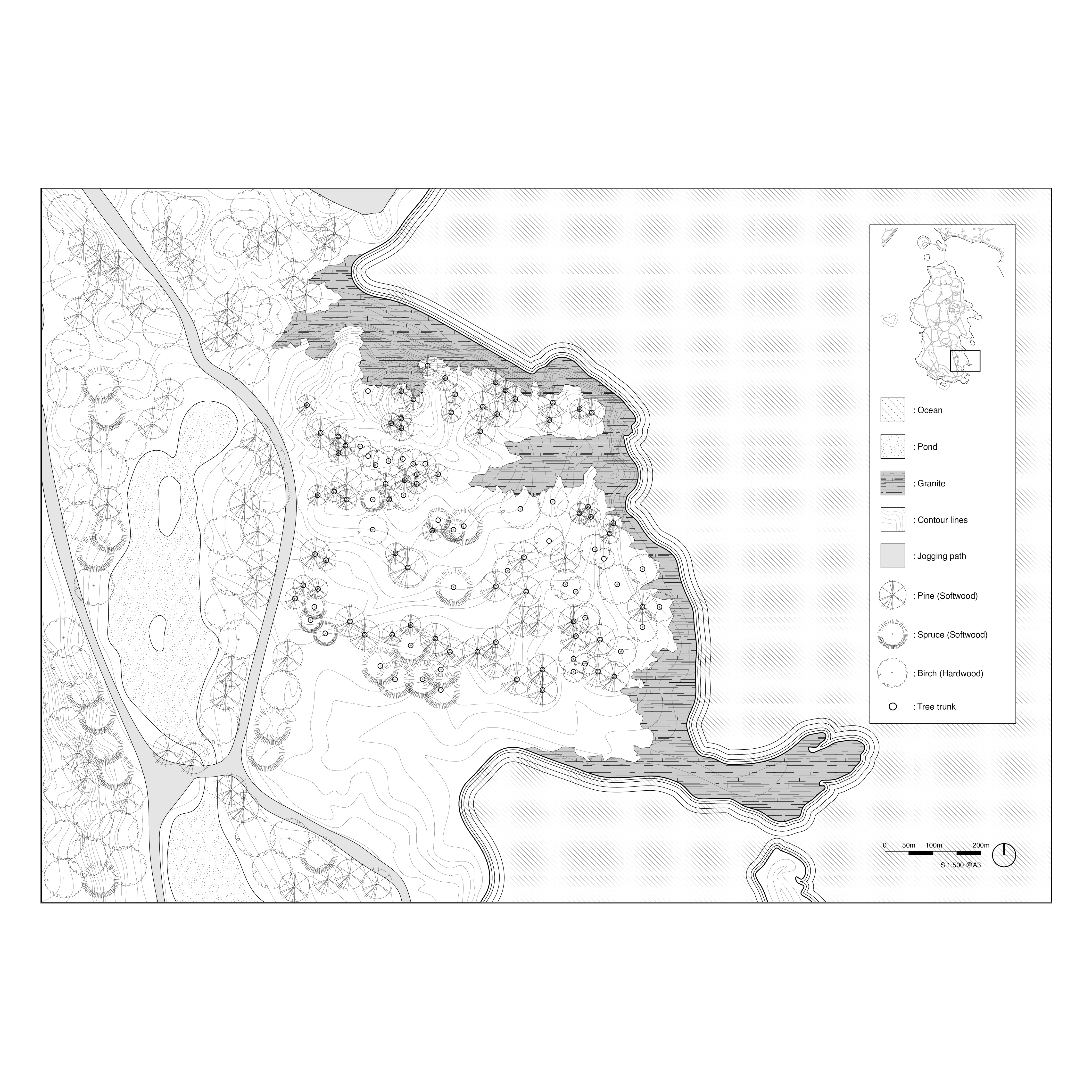Site Drawing: Where Forest Meets Sea