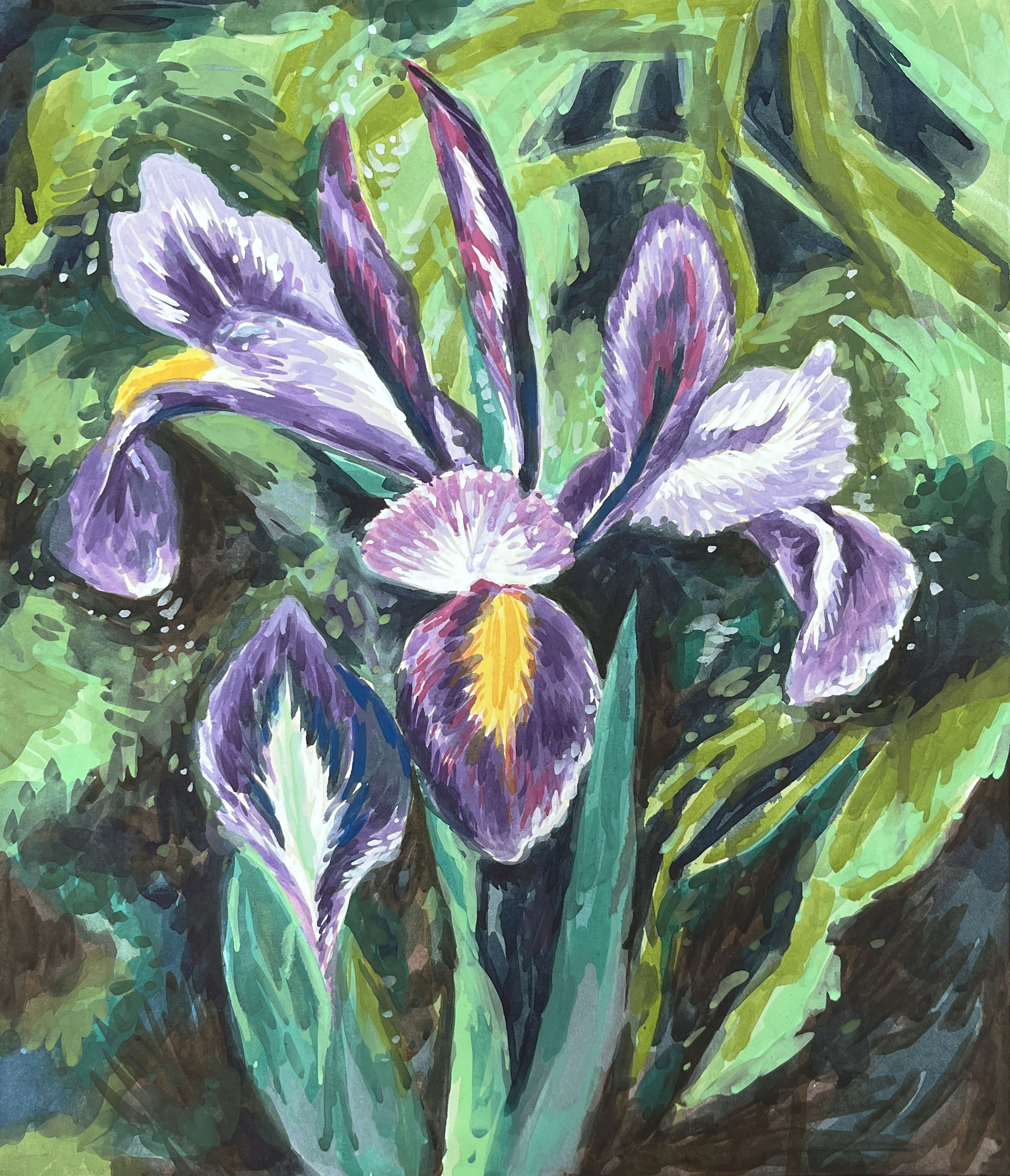 Iris, 2025, 순지에 채색, 53 x 45.5 cm