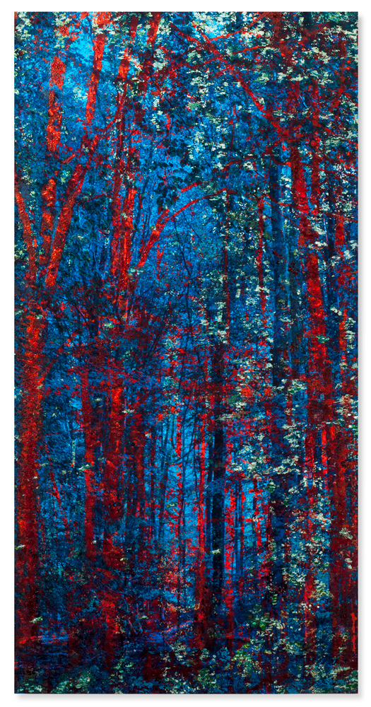 "Un conte", rouge et vert - 29x57cm - 2020