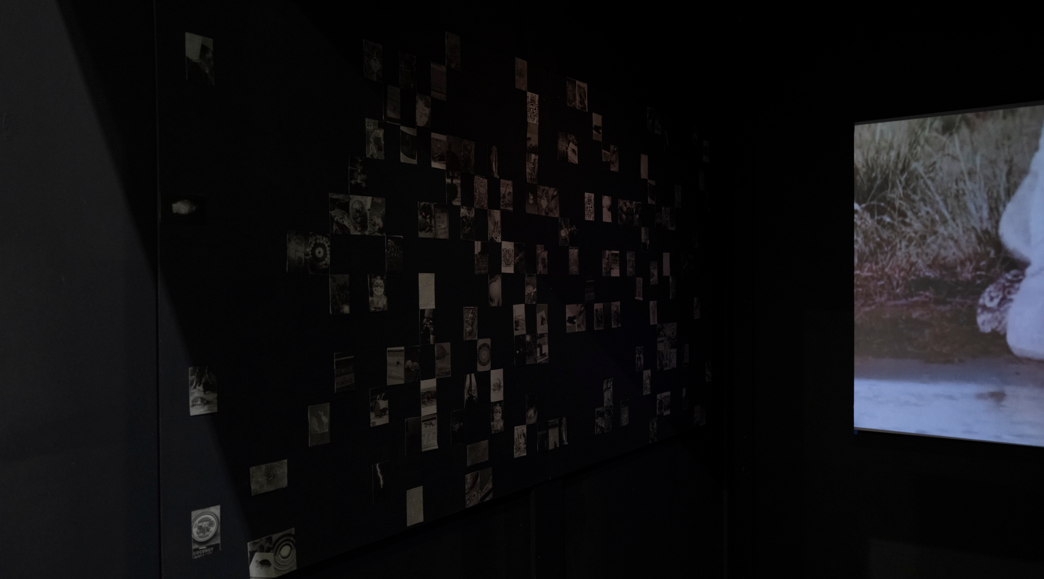 RISD Grad Show, Convention Center, 2024
