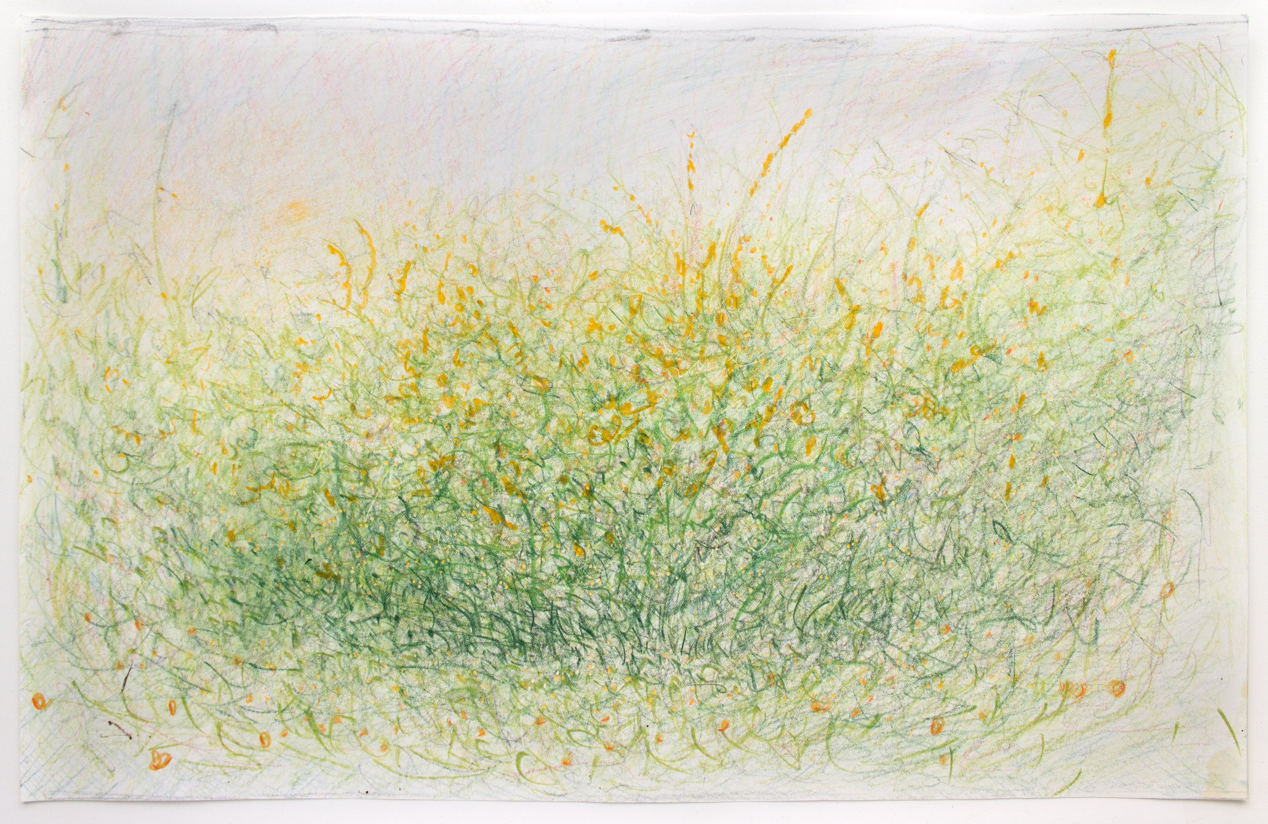 Sketch for Untitled (Field 2), 2022, color pencil on paper, 43.2 x 27.9 cm