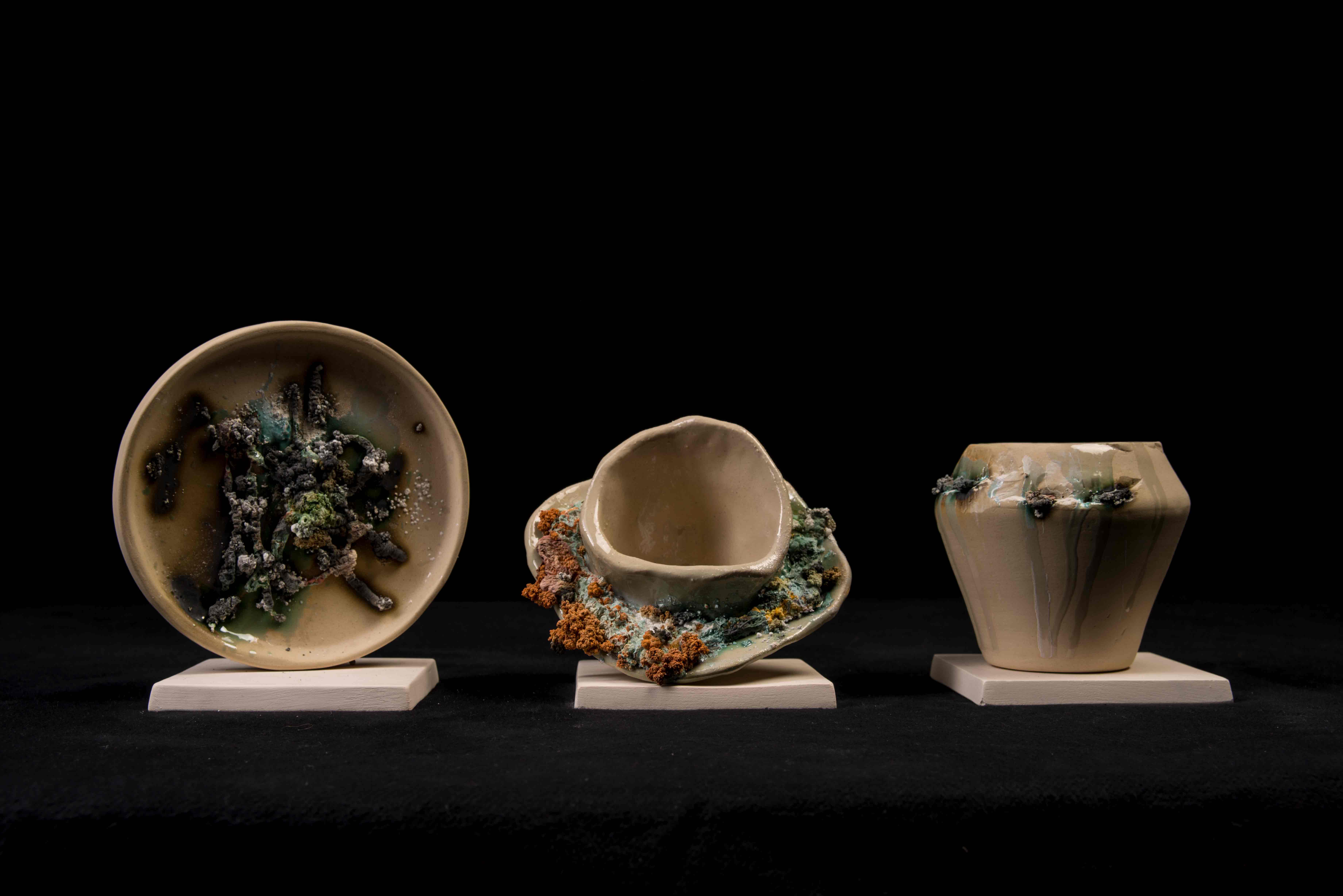 CLAYMETALCORALS by Andreas Weidauer