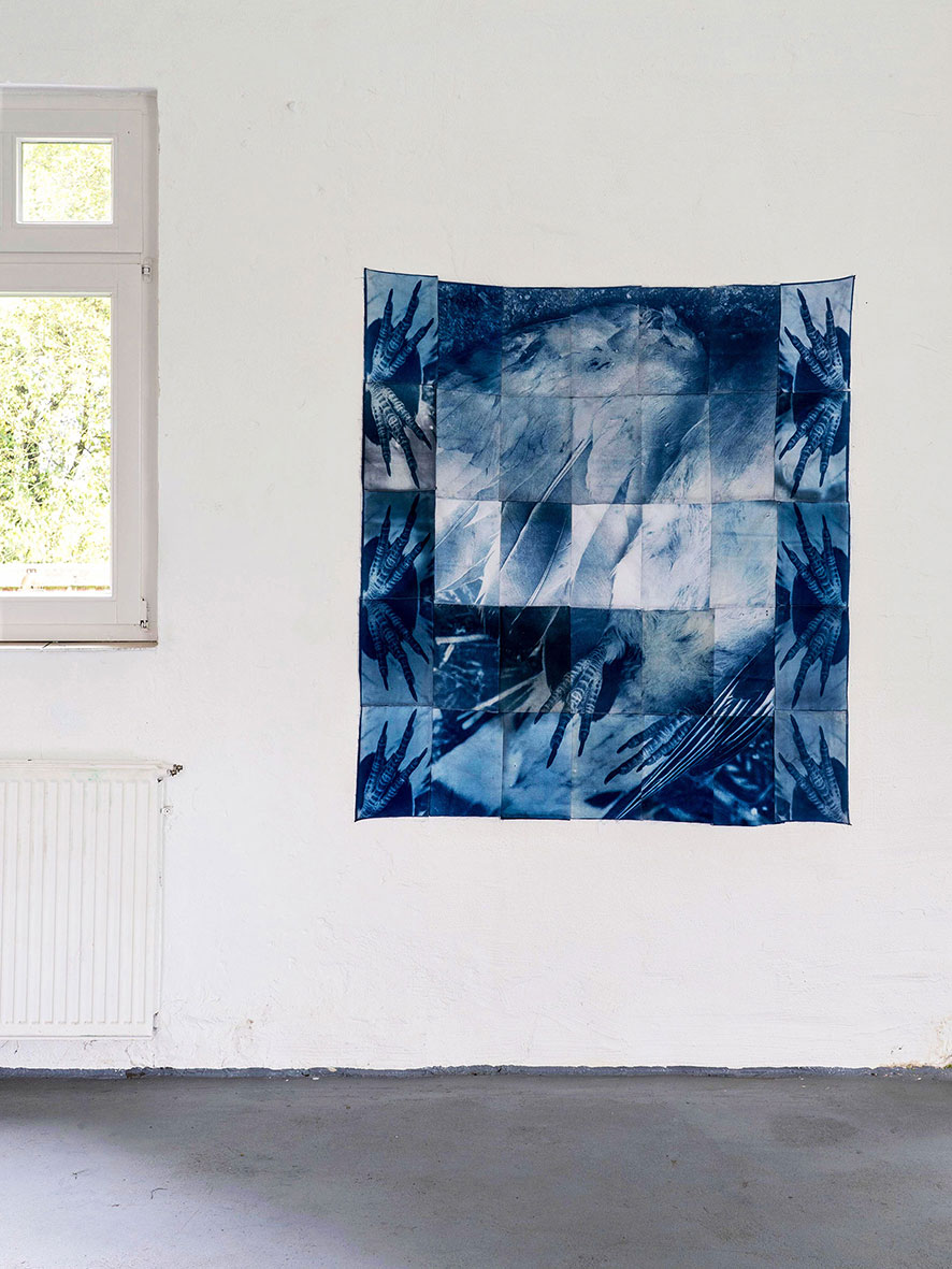 Traces - Installationsansicht III