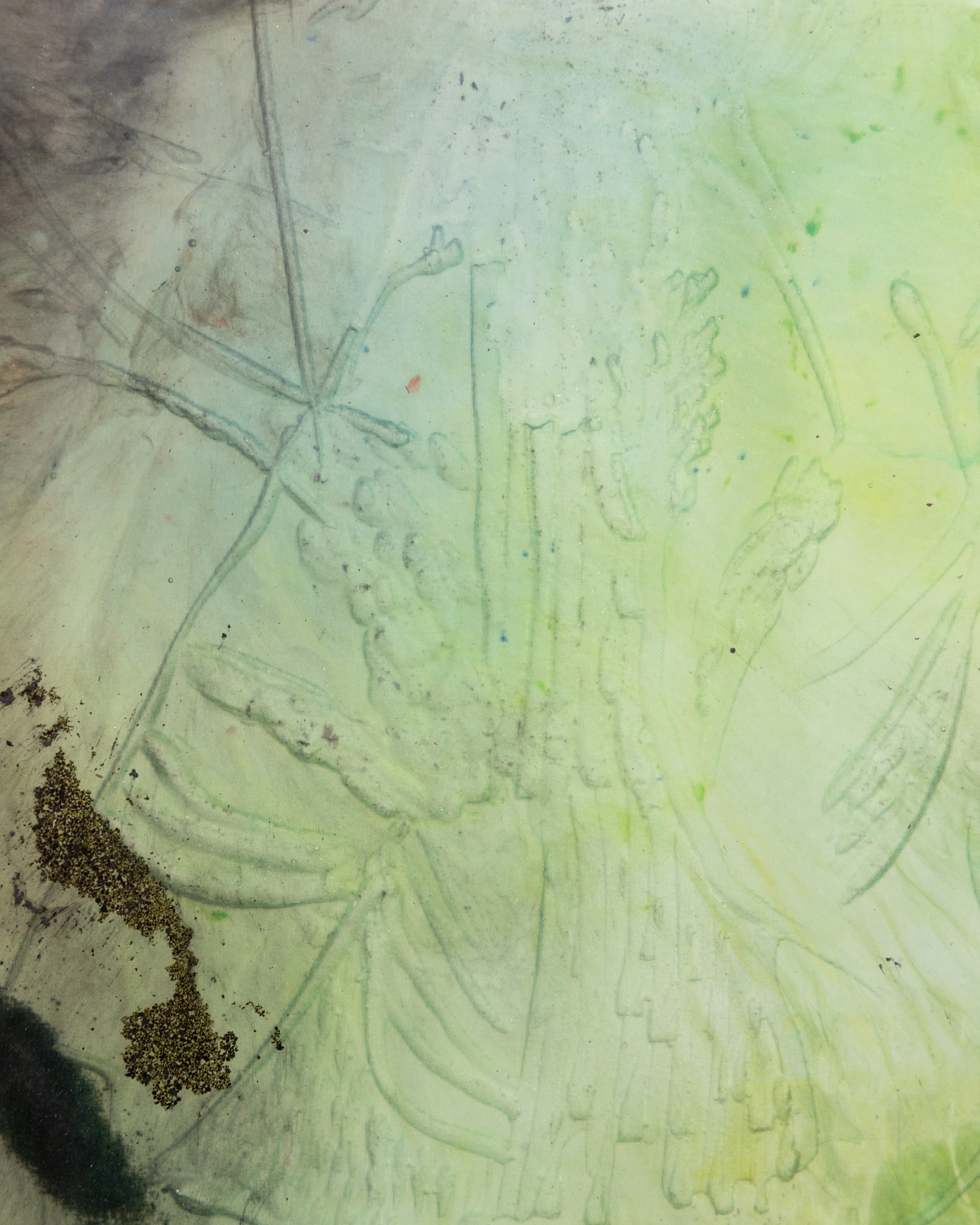 Out to roam, 2025. Detail of etching.