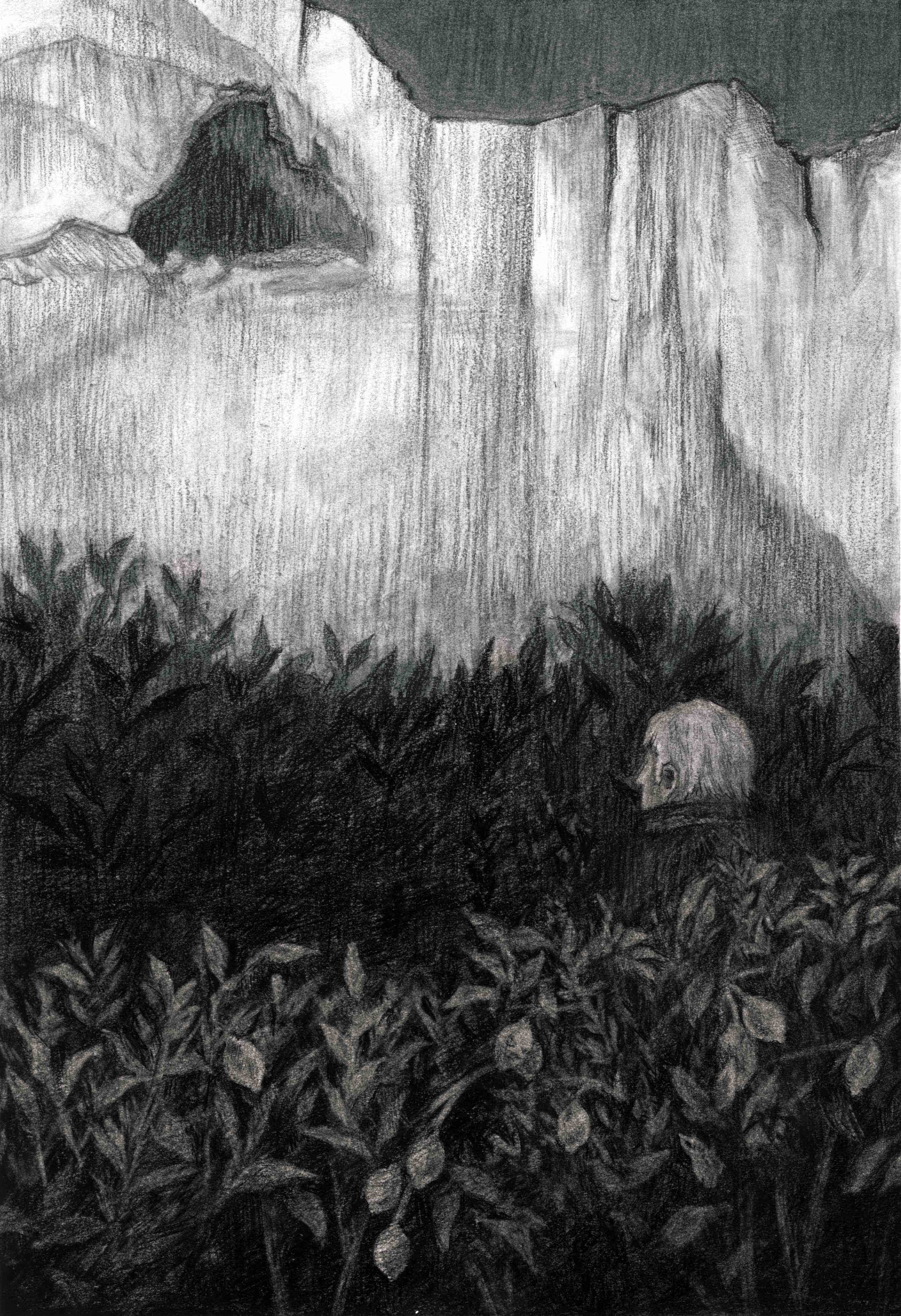 Vampires in the Lemon Grove