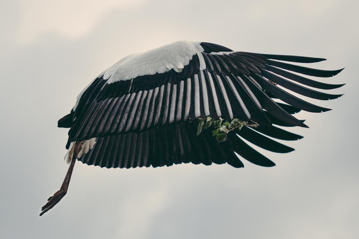 Francesca Todde: A Sensitive Education, 2020