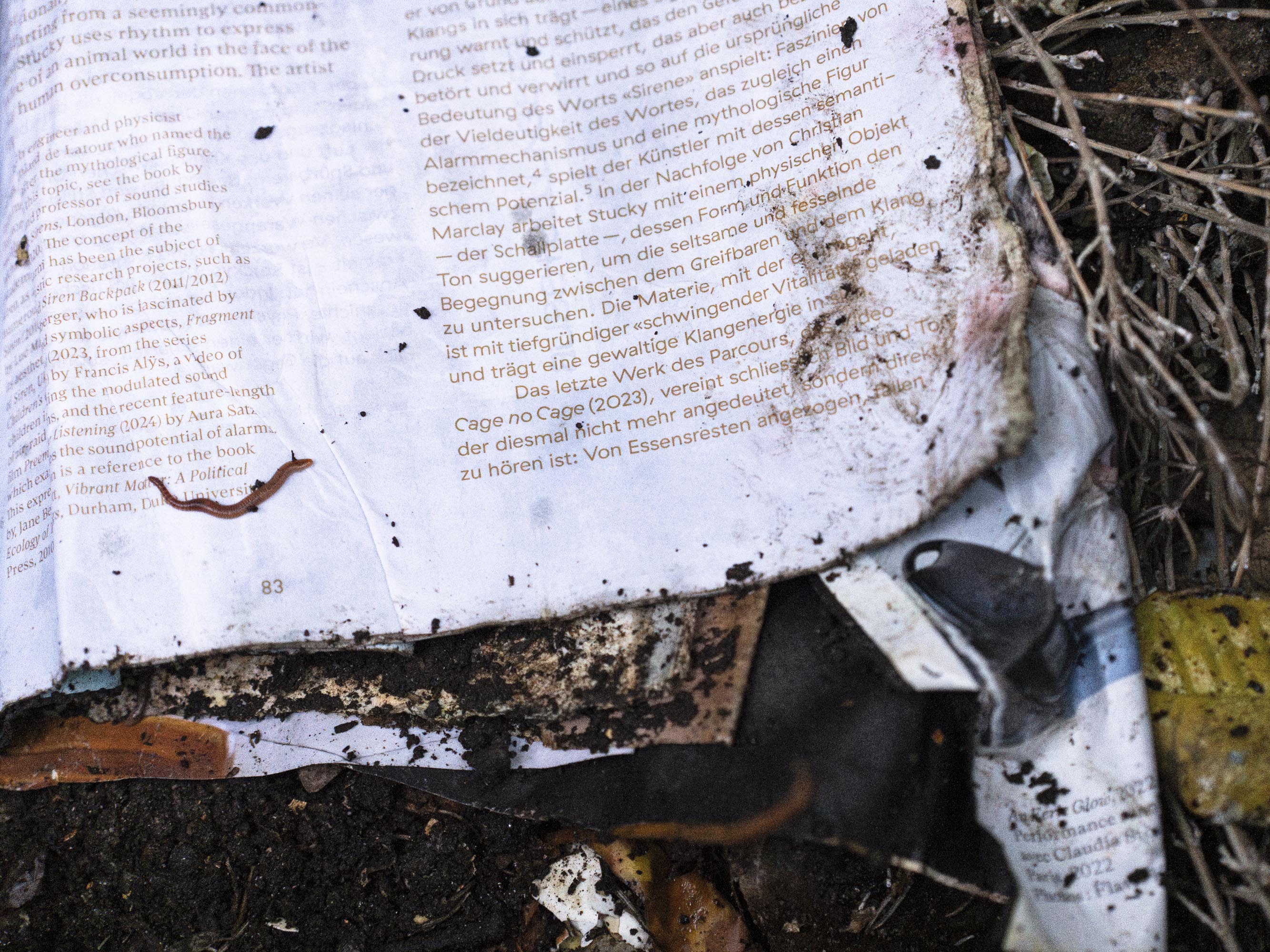 Photo: Raphael Stucky