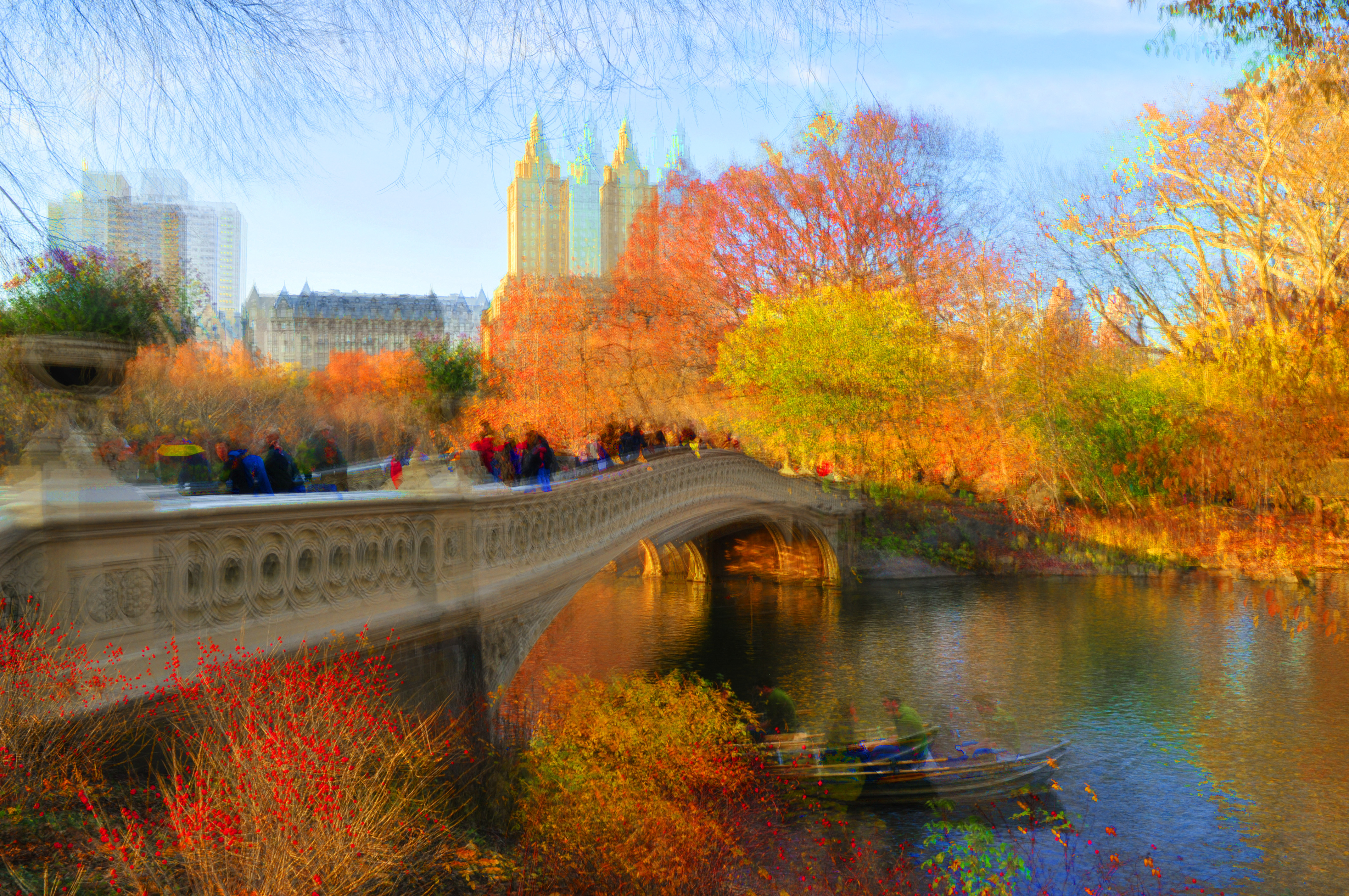 Central Park BUY THIS PRINT