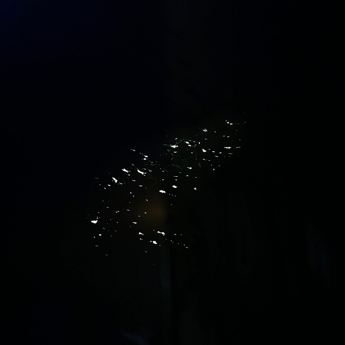 tunnel four point zero