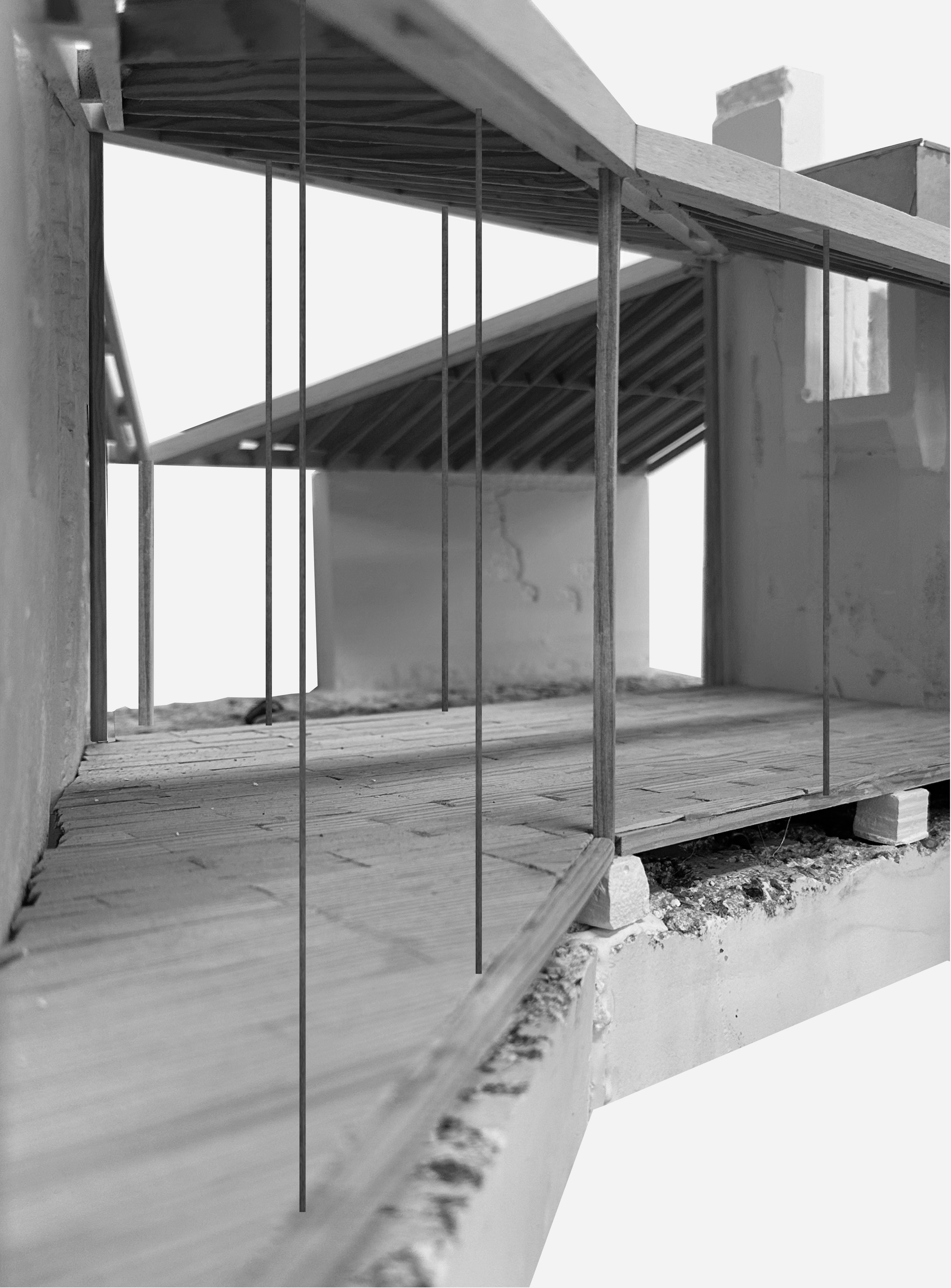 Rosalia Sanchez Rojas